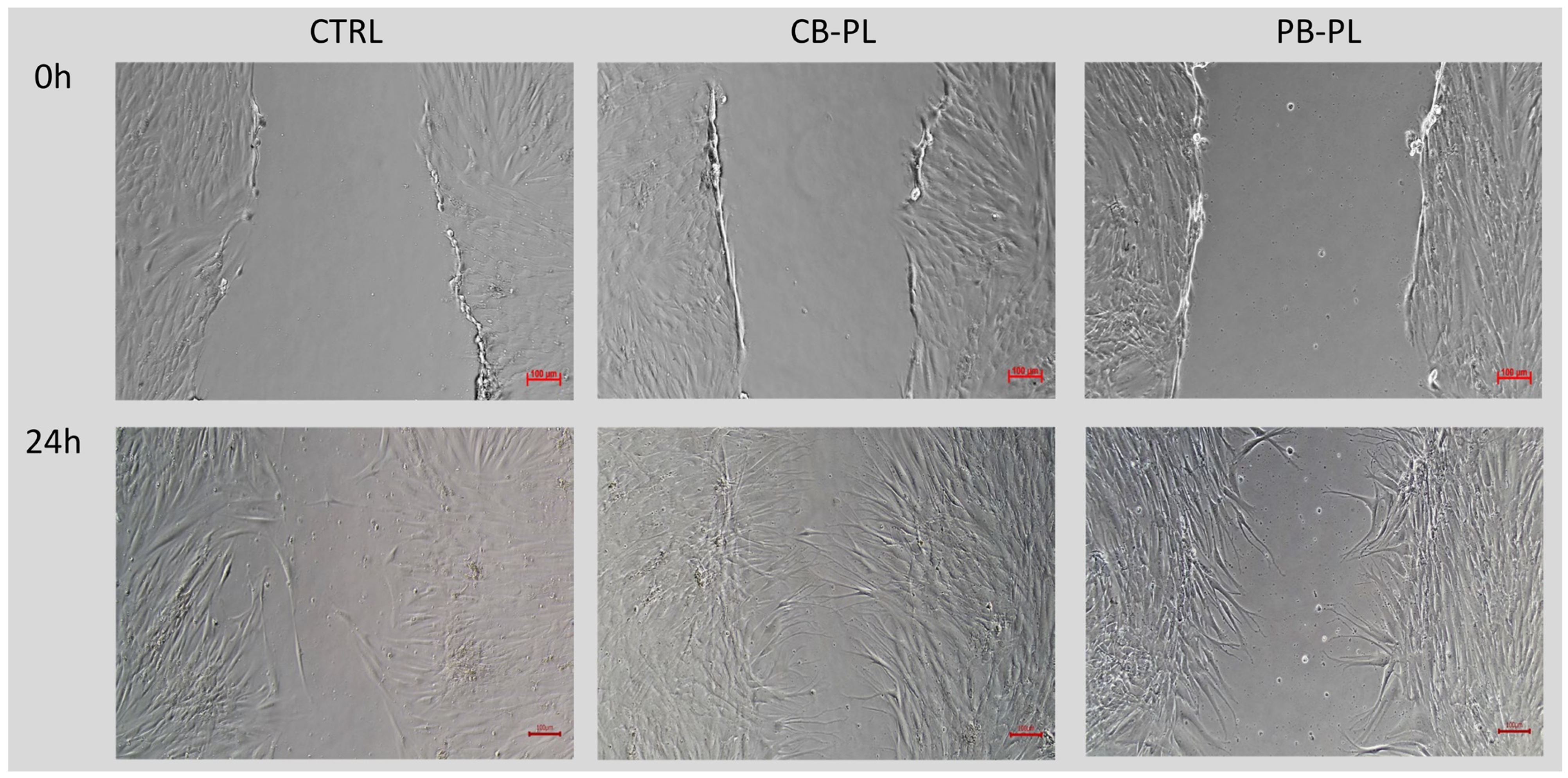 Ijms 24 05775 g003b Ijms 24 05775 g003b