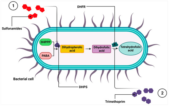Antibiotics and Bacterial Resistance—A Short Story of an Antibiotics and Bacterial Resistance—A Short Story of an