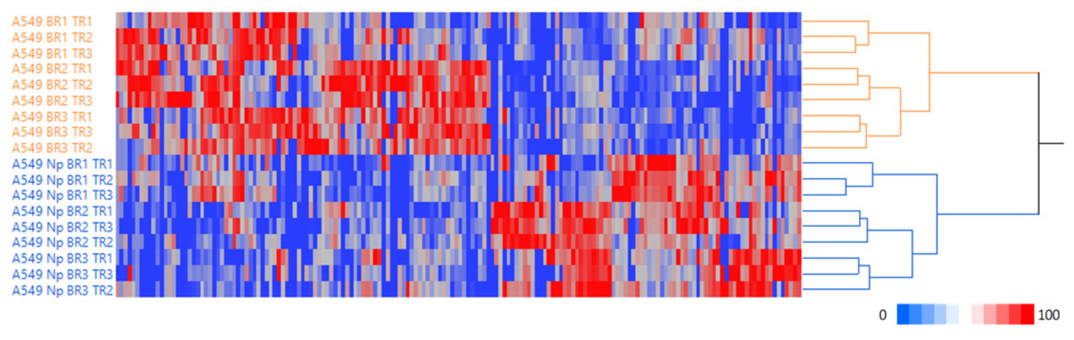 Ijms 24 05784 g001 Ijms 24 05784 g001