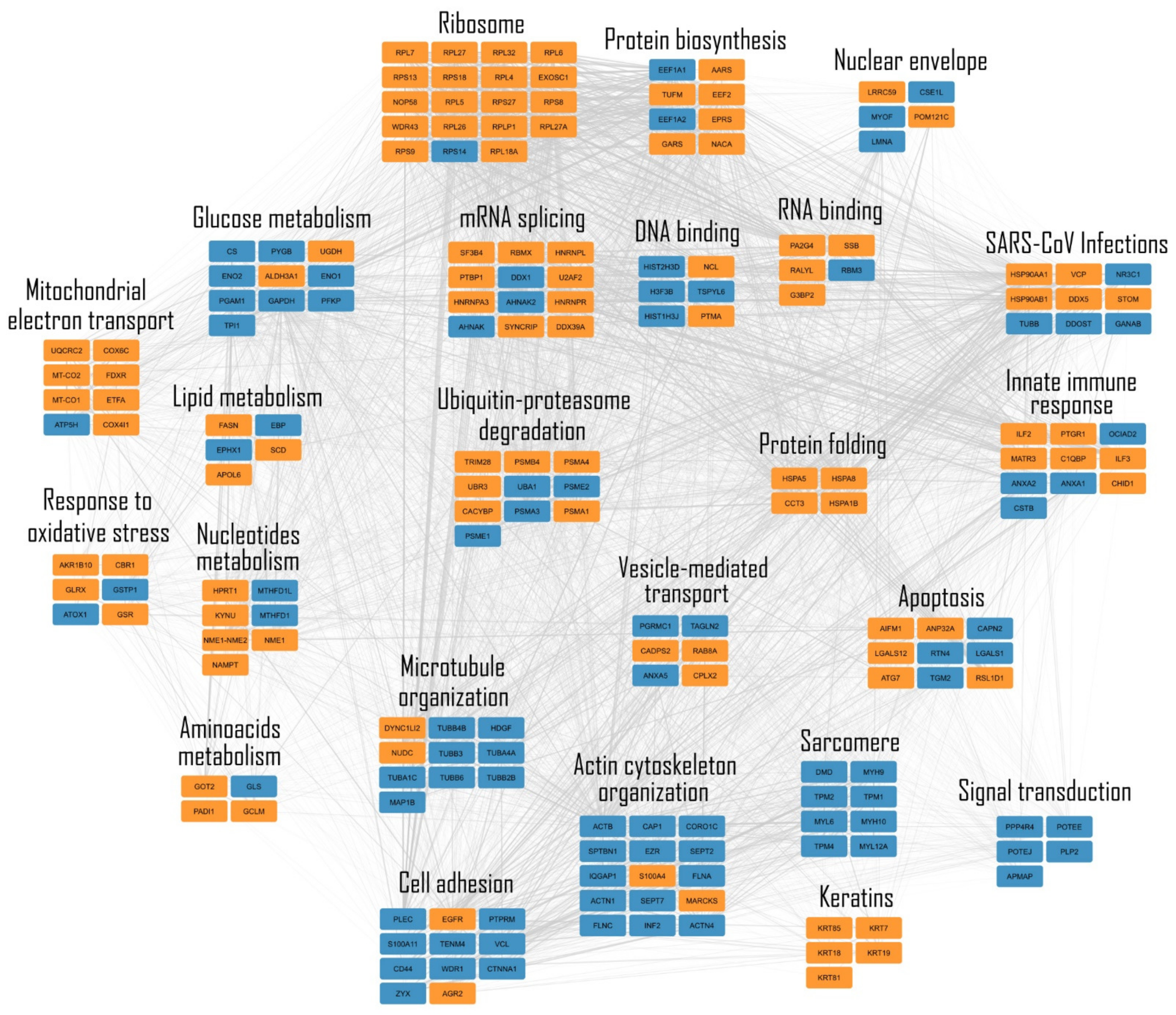 Ijms 24 05784 g003 Ijms 24 05784 g003