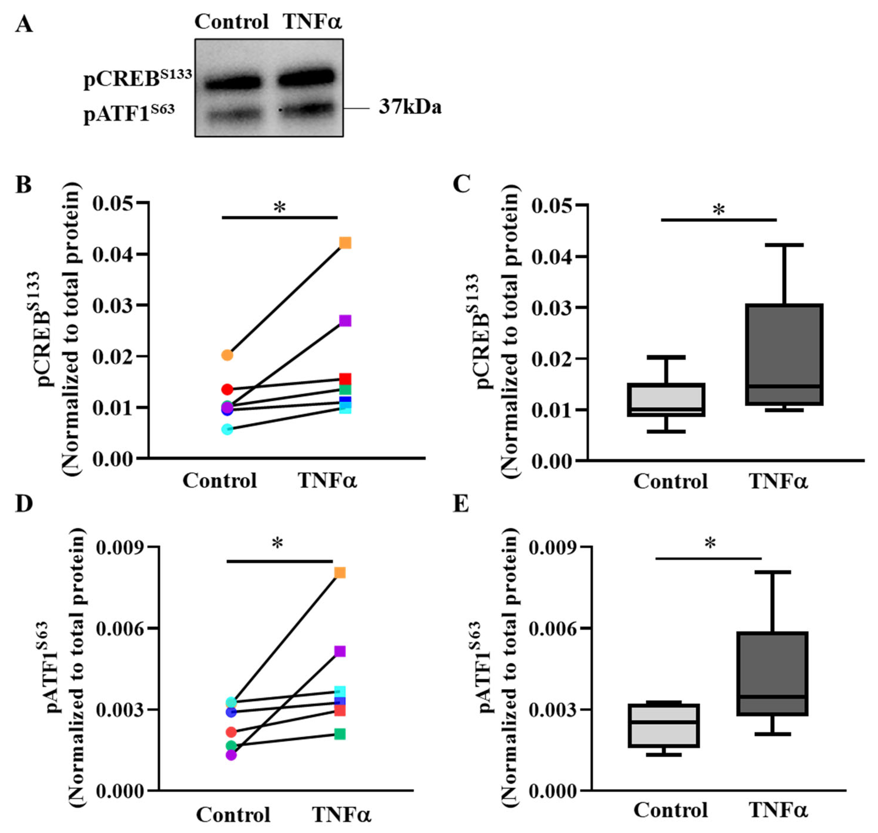 Ijms 24 05788 g005 Ijms 24 05788 g005
