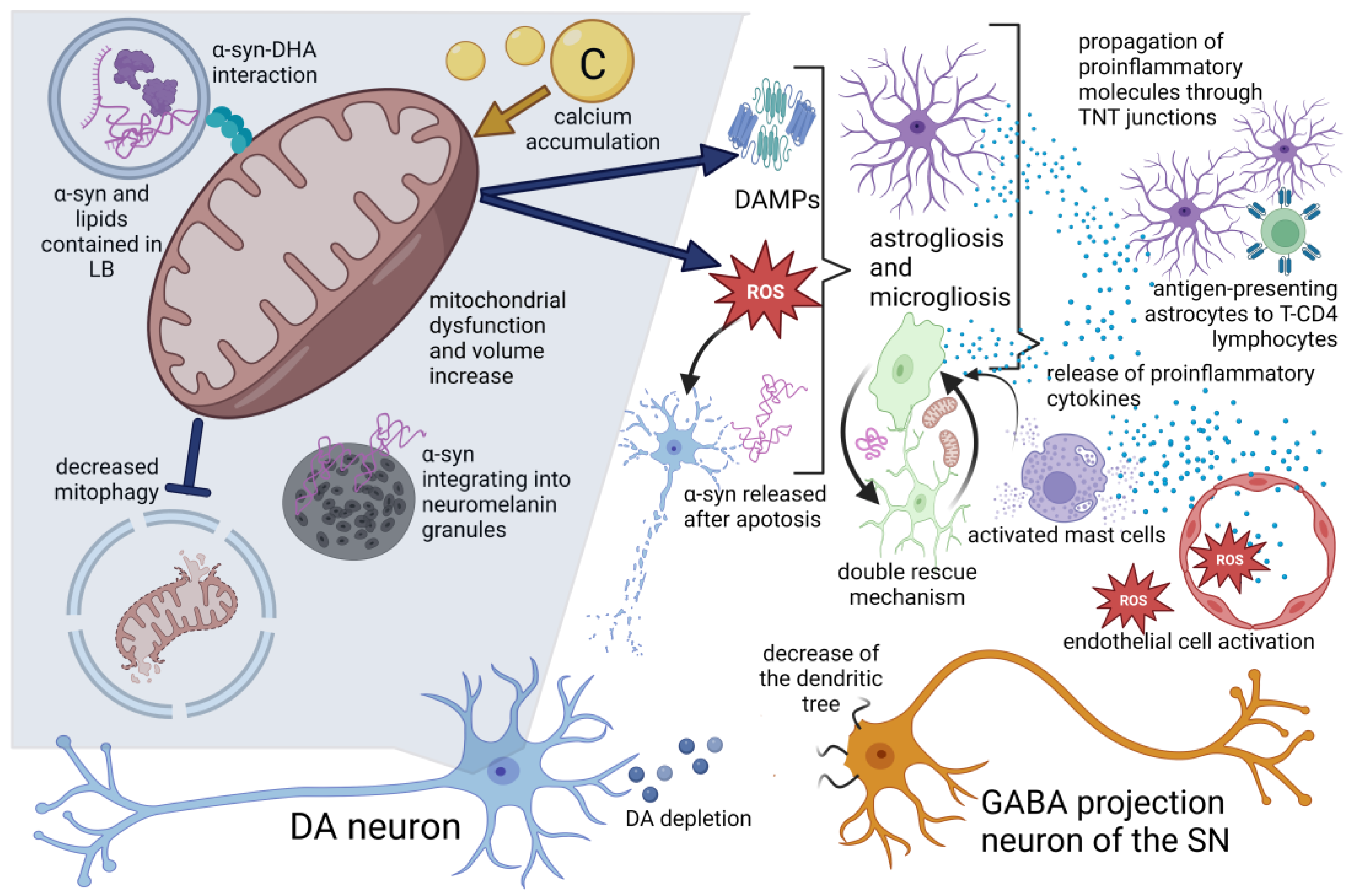 Ijms 24 05792 g003 Ijms 24 05792 g003