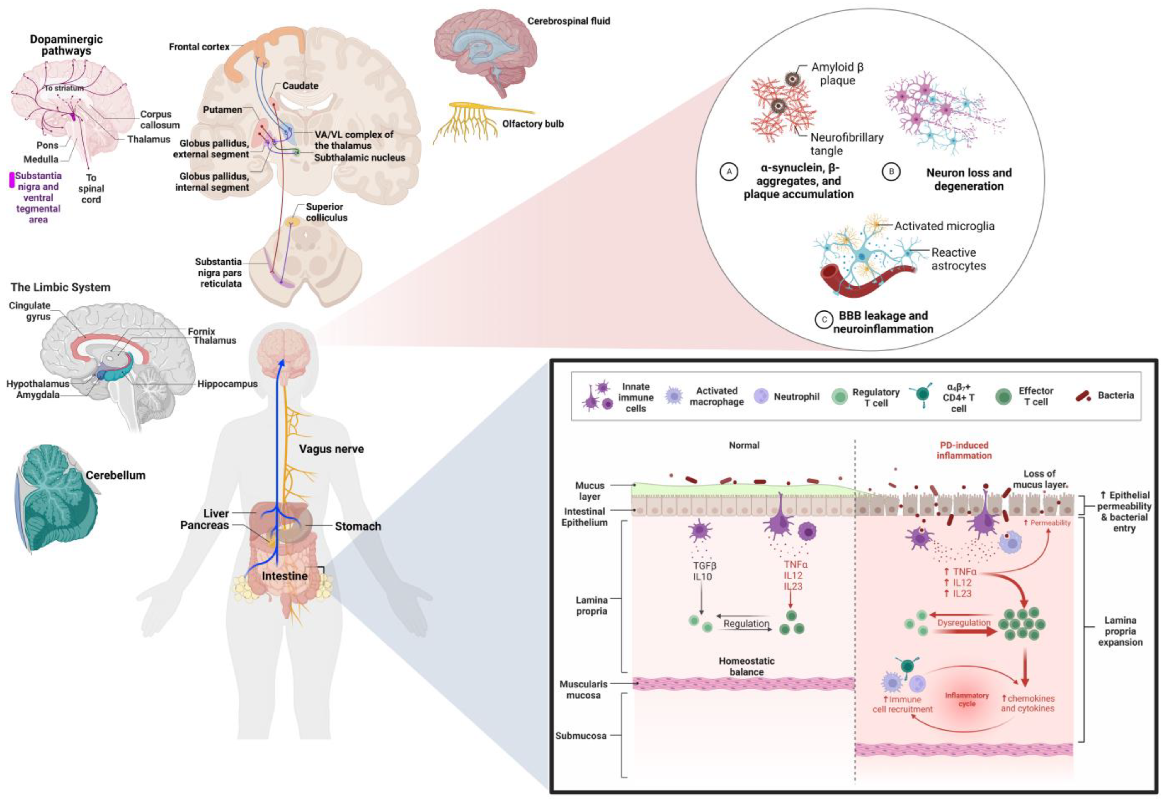 Ijms 24 05792 g005 Ijms 24 05792 g005
