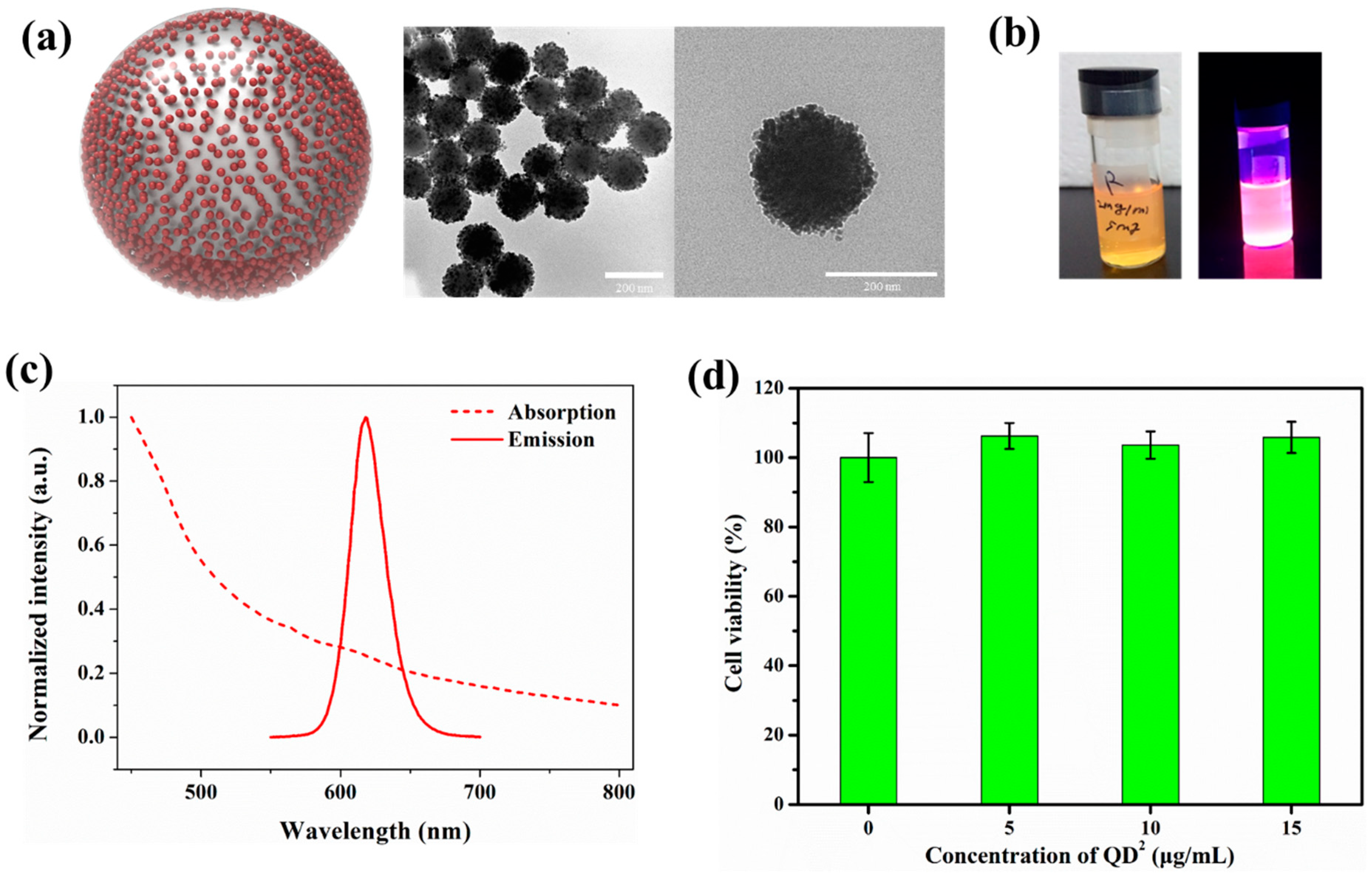 Ijms 24 05794 g001 Ijms 24 05794 g001