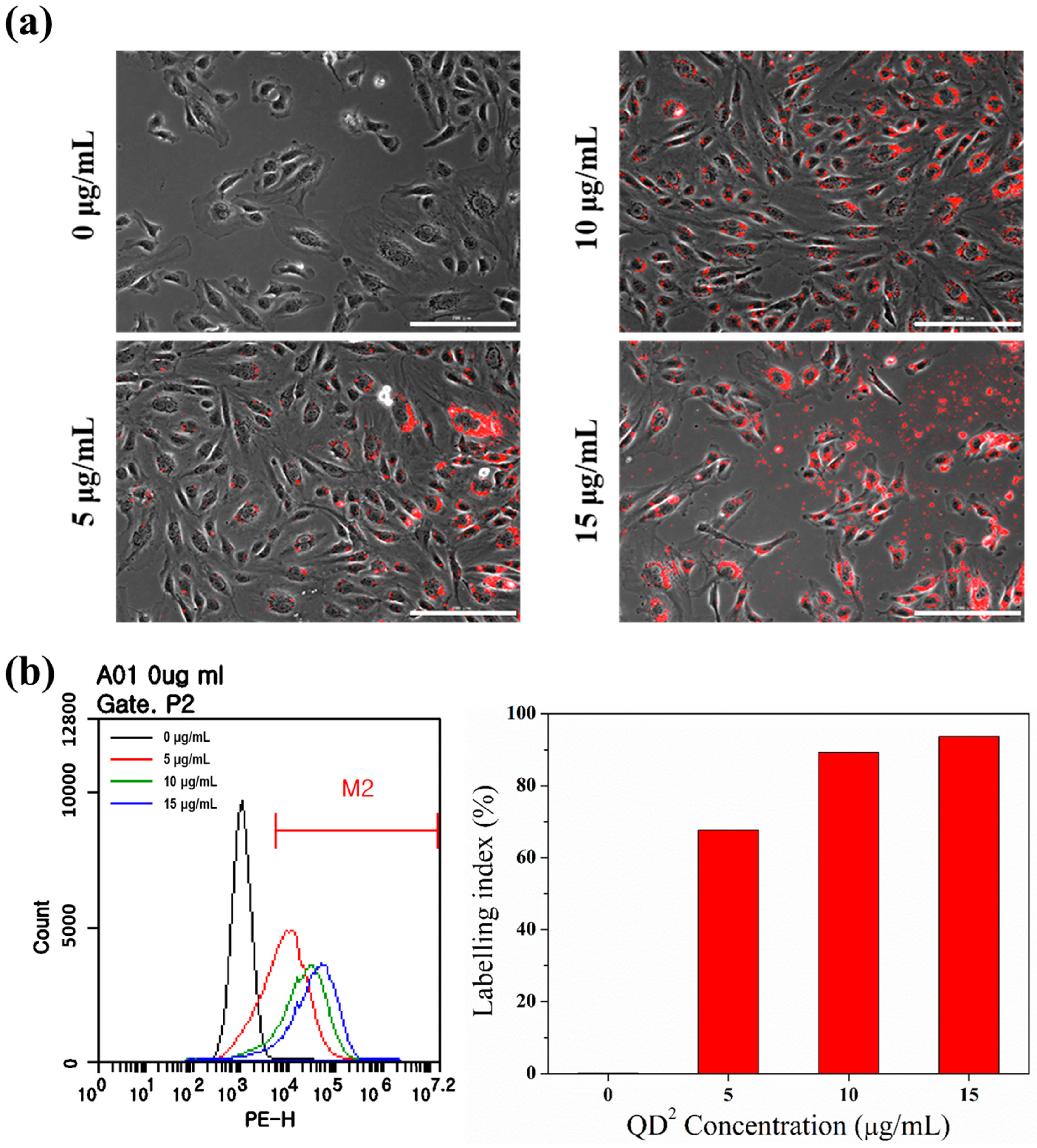 Ijms 24 05794 g002 Ijms 24 05794 g002