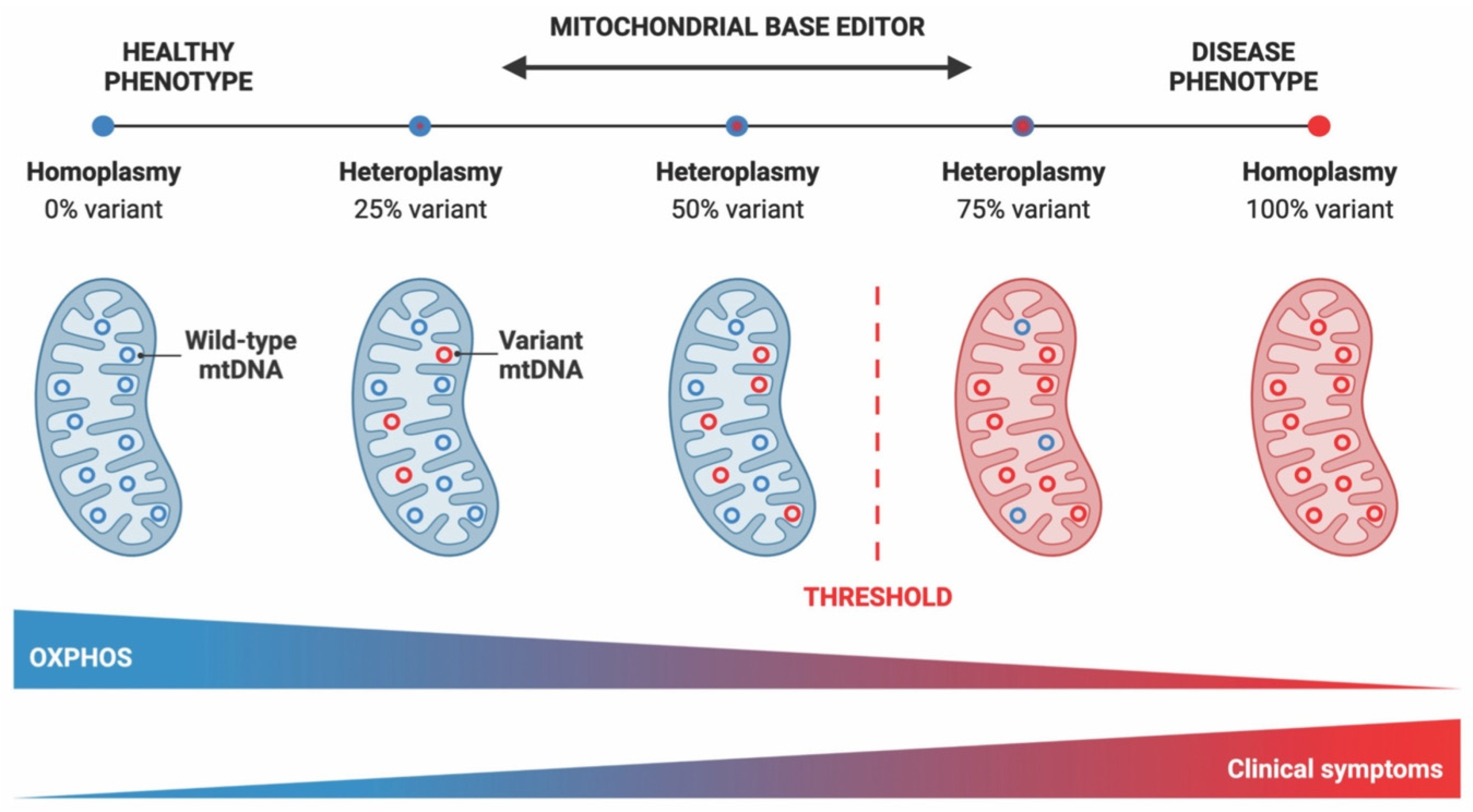 Ijms 24 05798 g001 Ijms 24 05798 g001