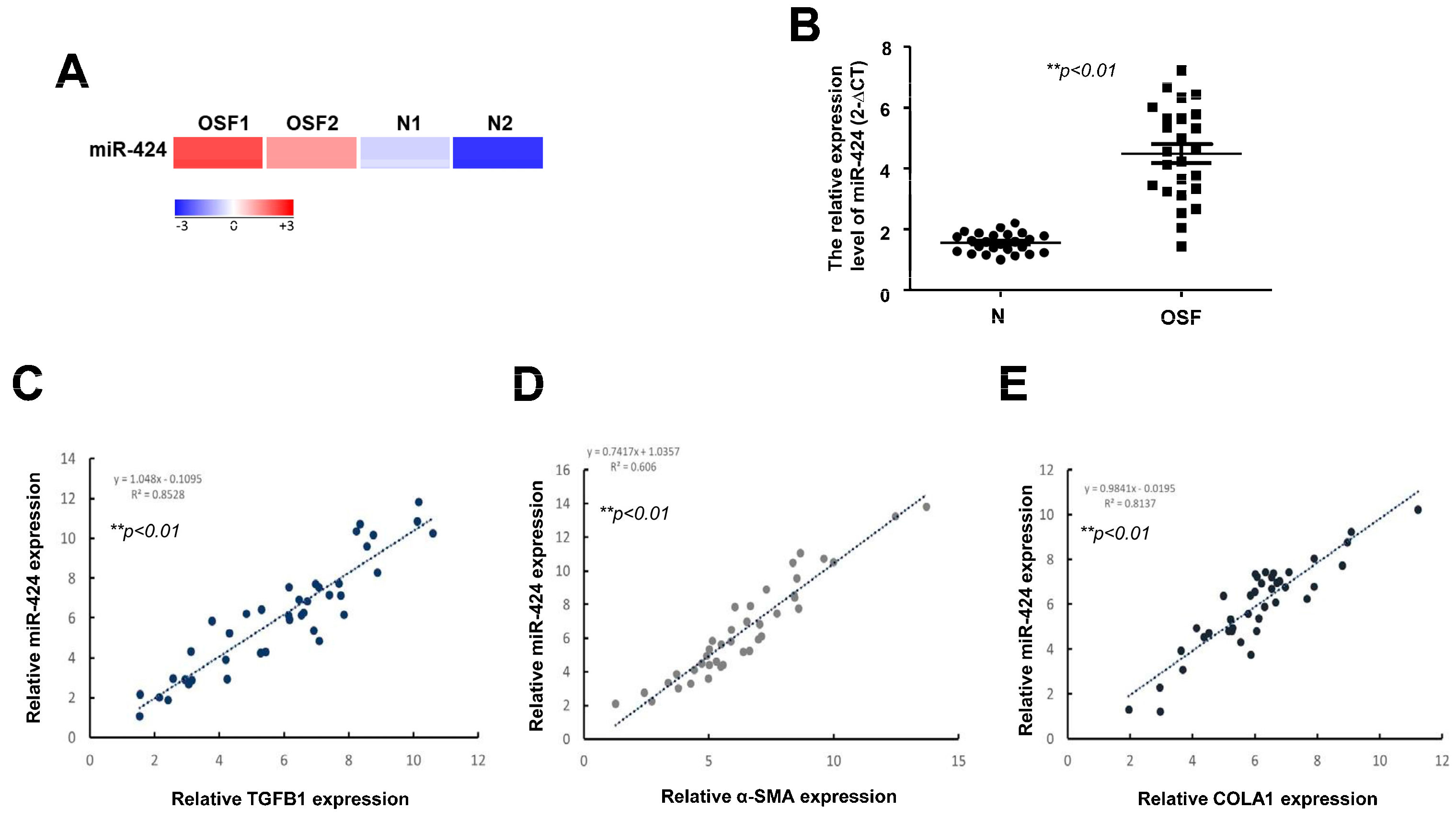 MiR-424/TGIF2-Mediated Pro-Fibrogenic Responses in Oral
