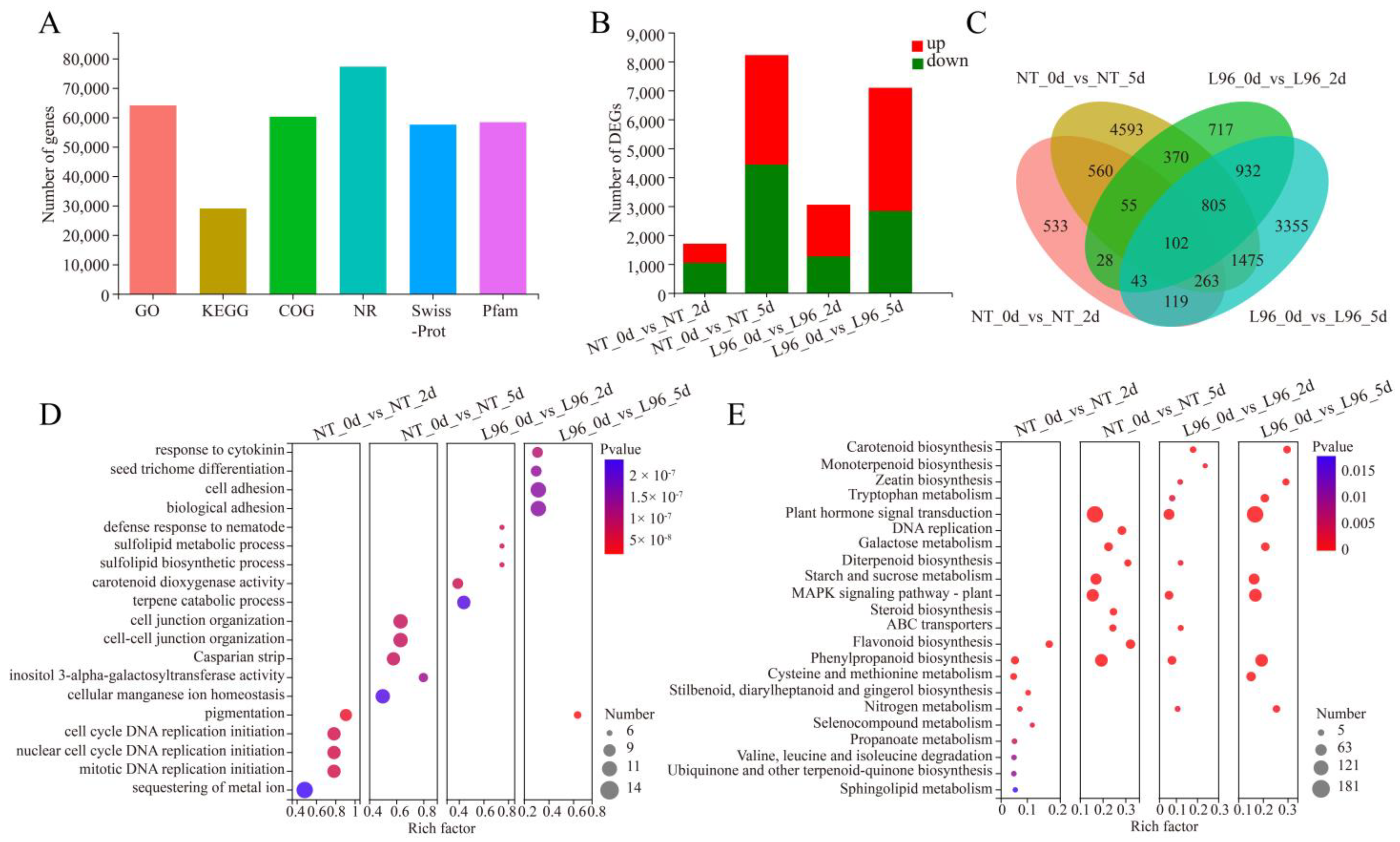 Ijms 24 05822 g002 Ijms 24 05822 g002