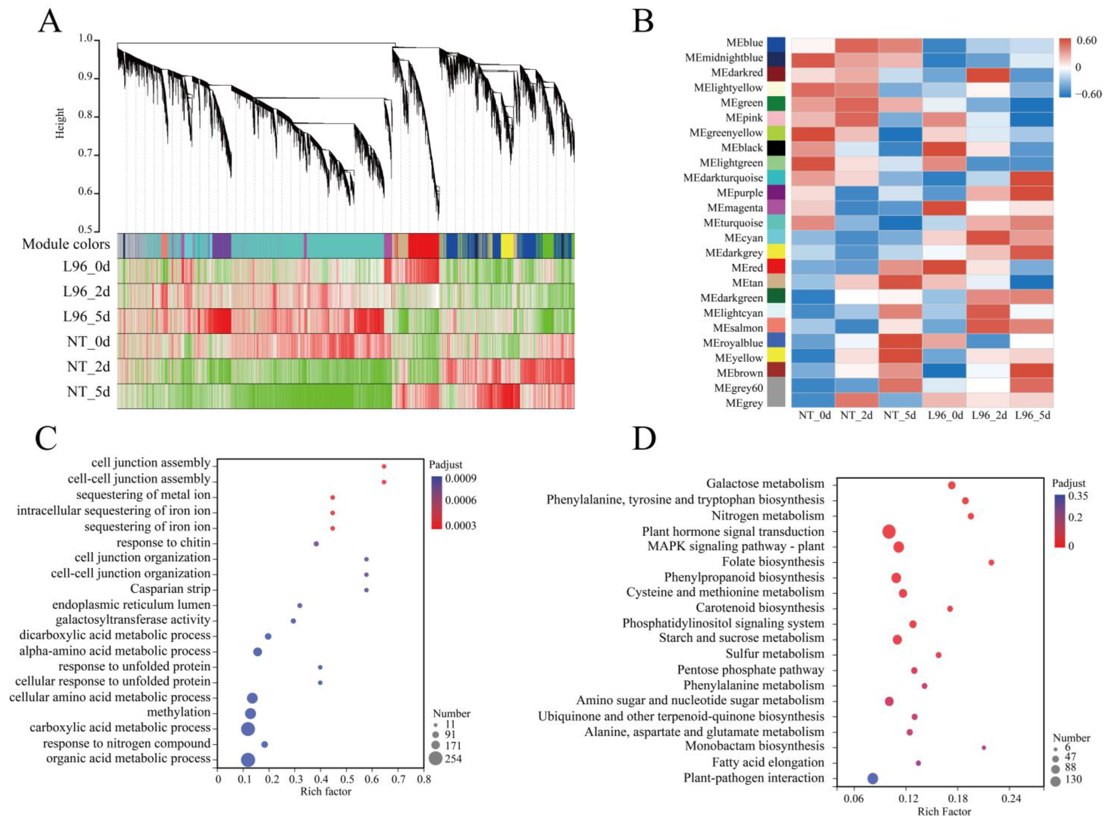 Ijms 24 05822 g003 Ijms 24 05822 g003