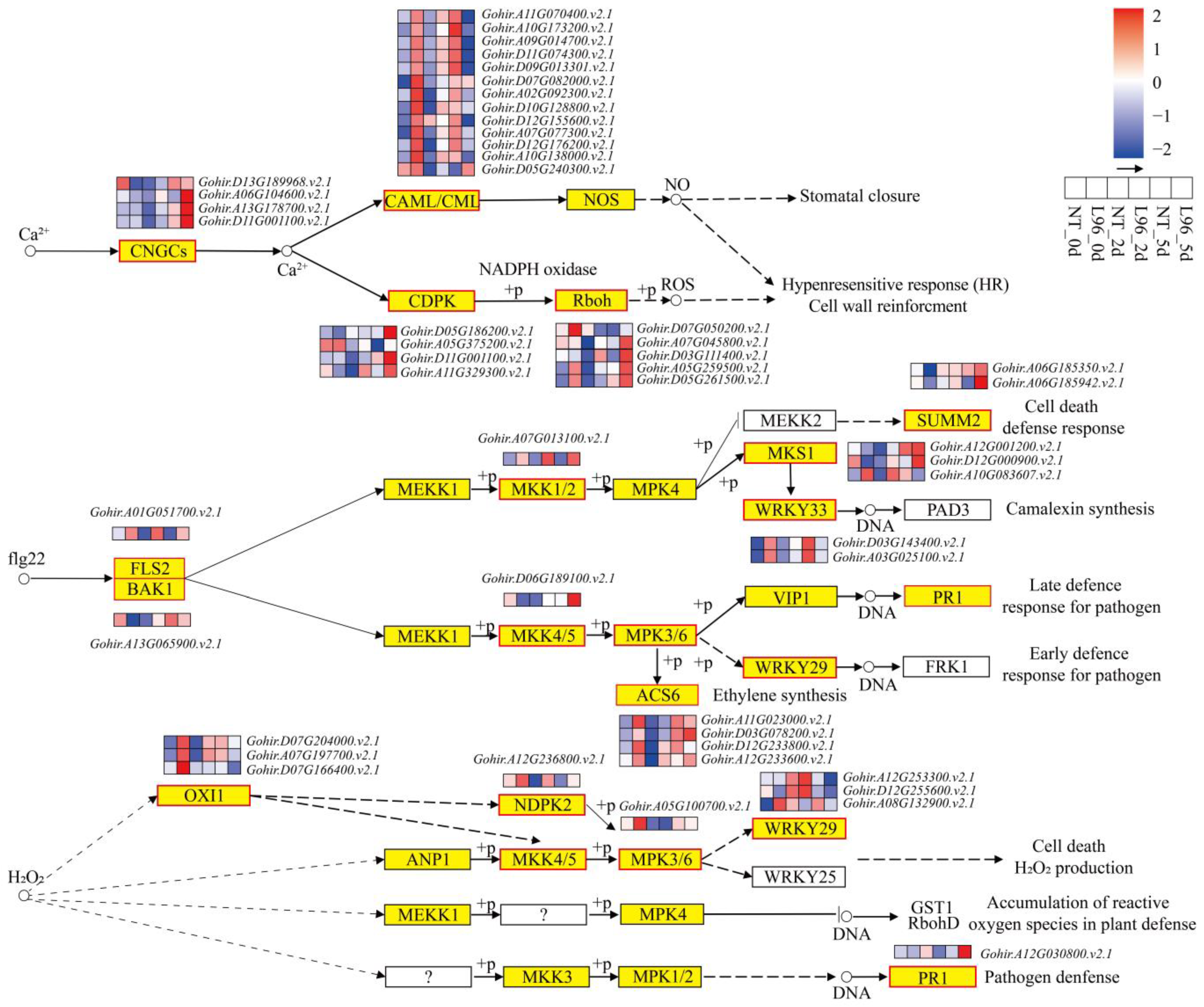 Ijms 24 05822 g005 Ijms 24 05822 g005