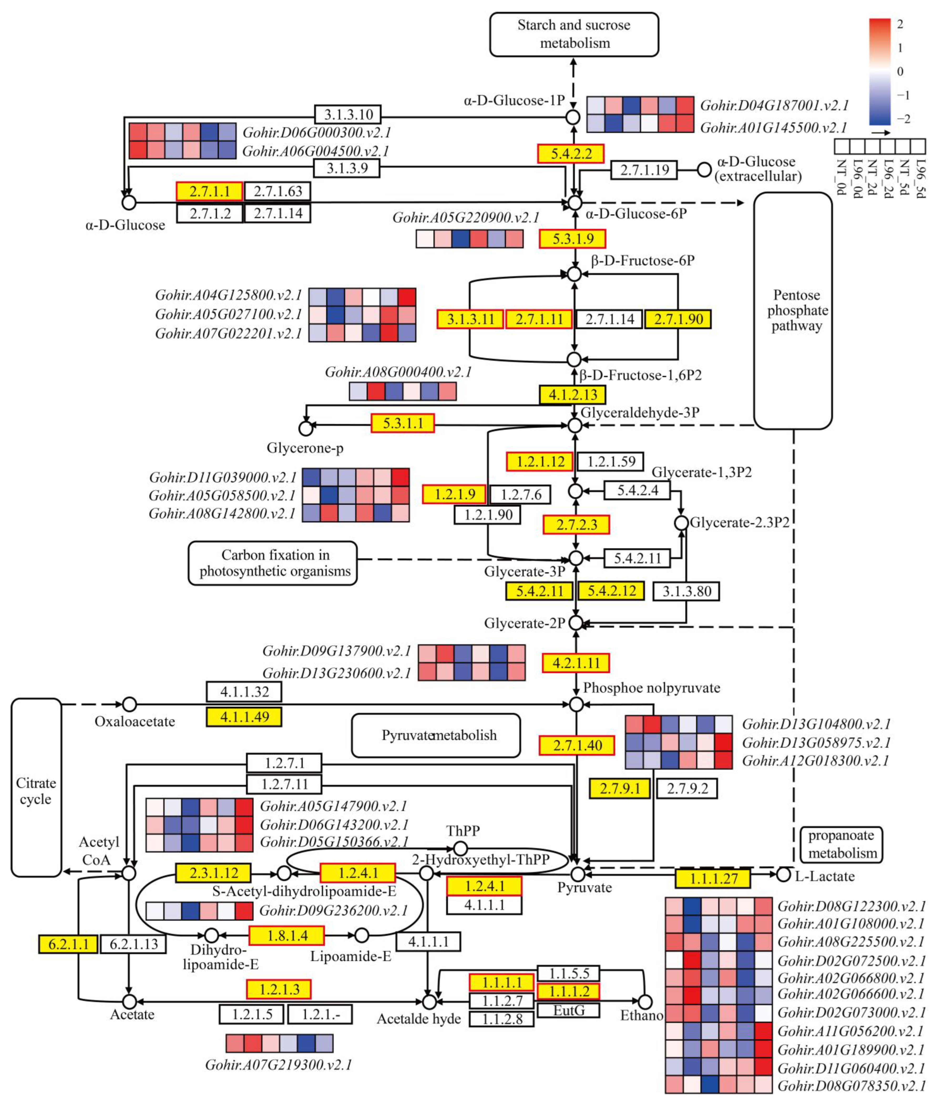 Ijms 24 05822 g007 Ijms 24 05822 g007