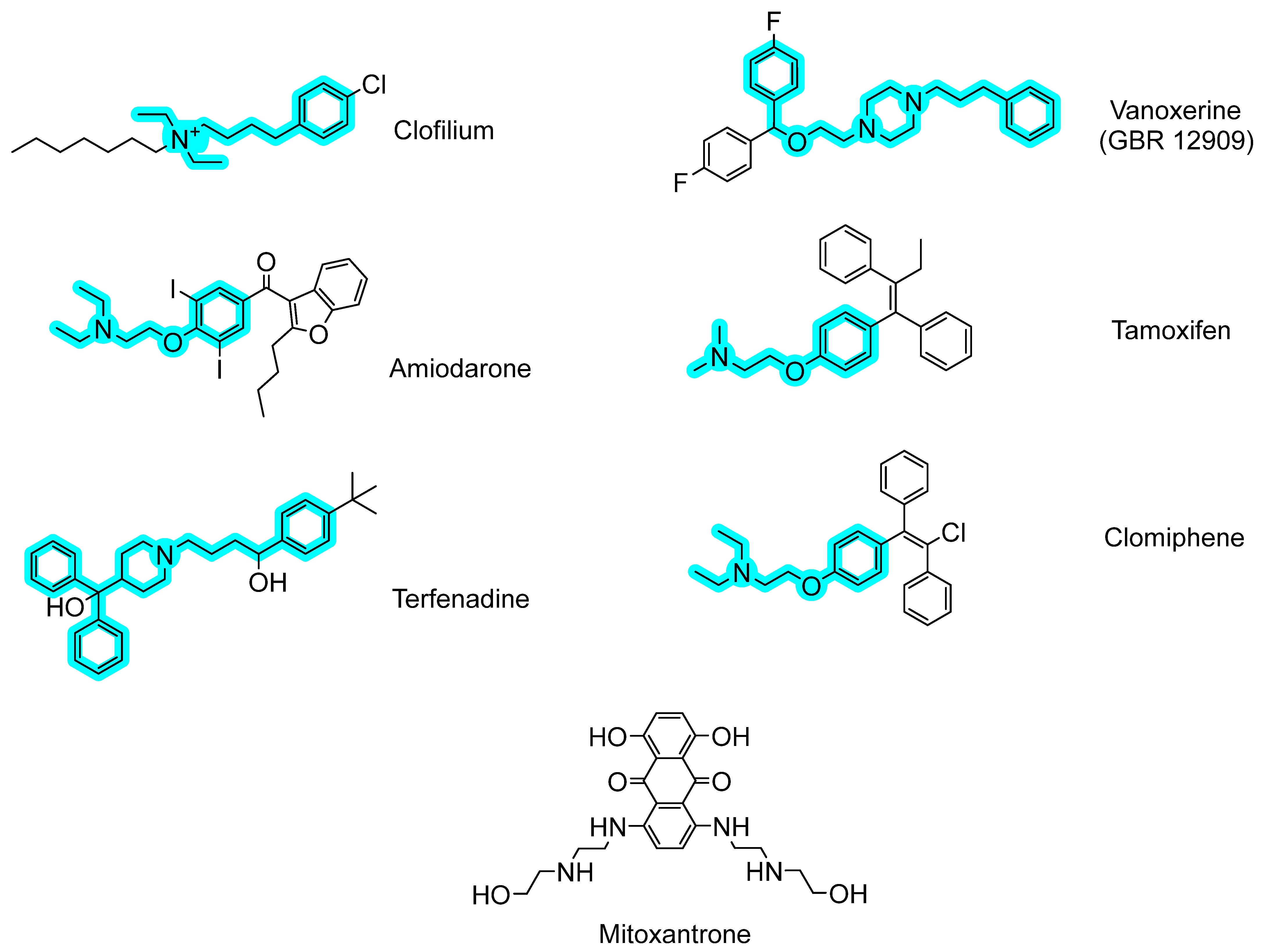 Ijms 24 05831 g003 Ijms 24 05831 g003