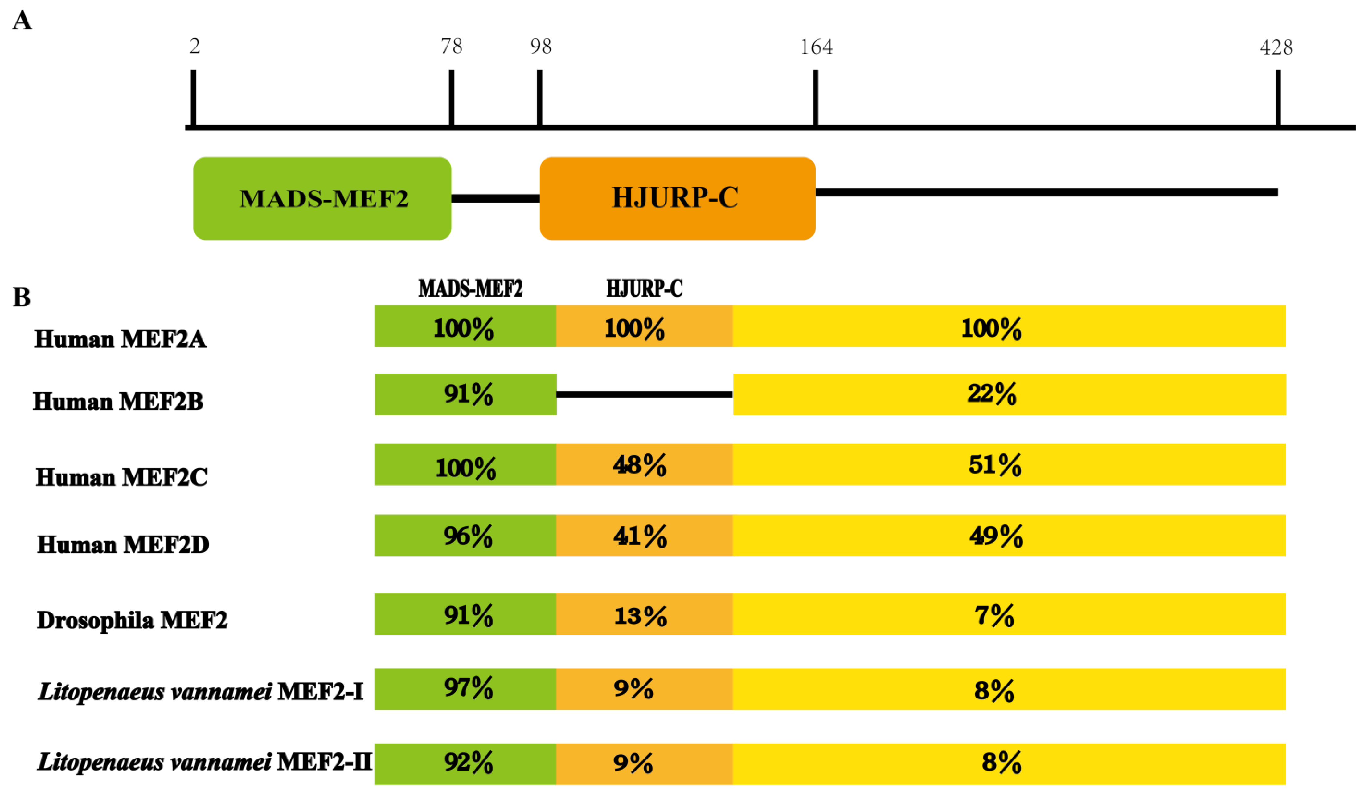 Ijms 24 05832 g002 Ijms 24 05832 g002