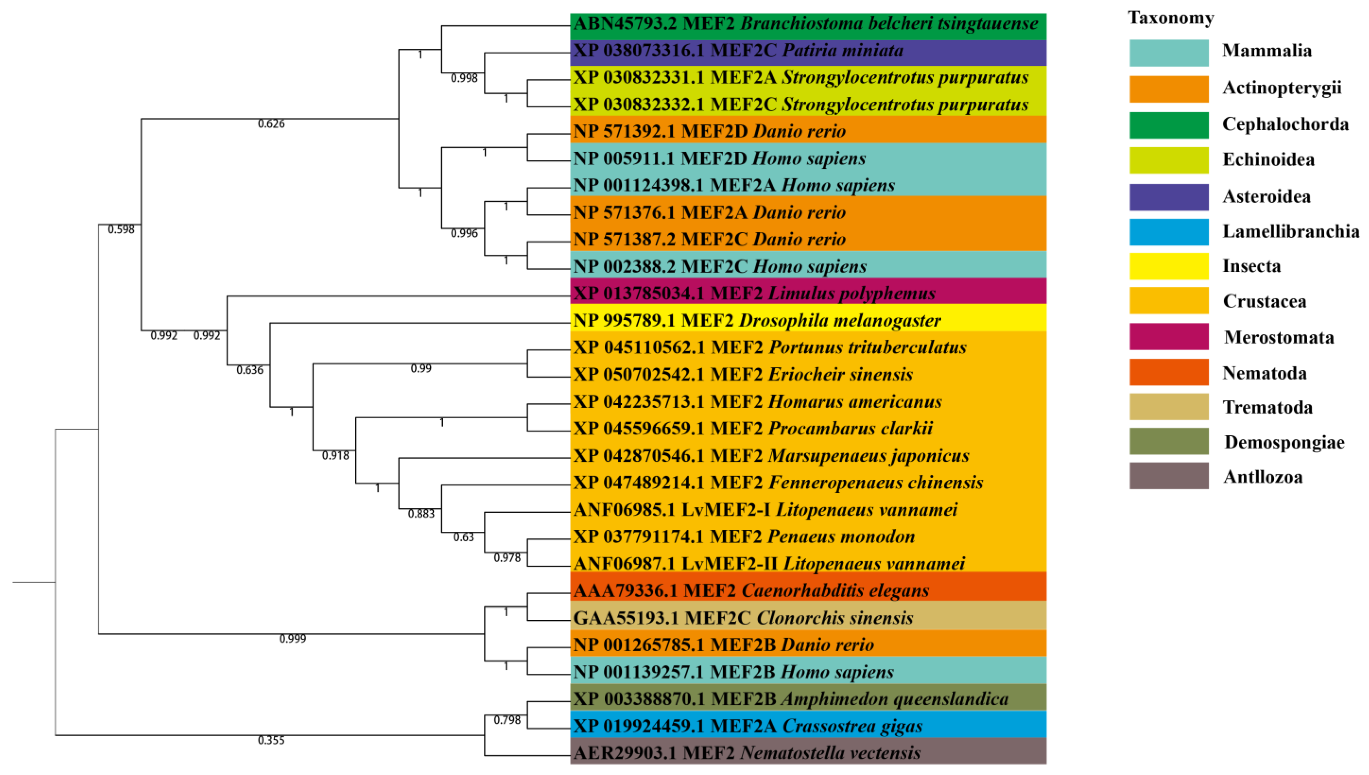 Ijms 24 05832 g003 Ijms 24 05832 g003