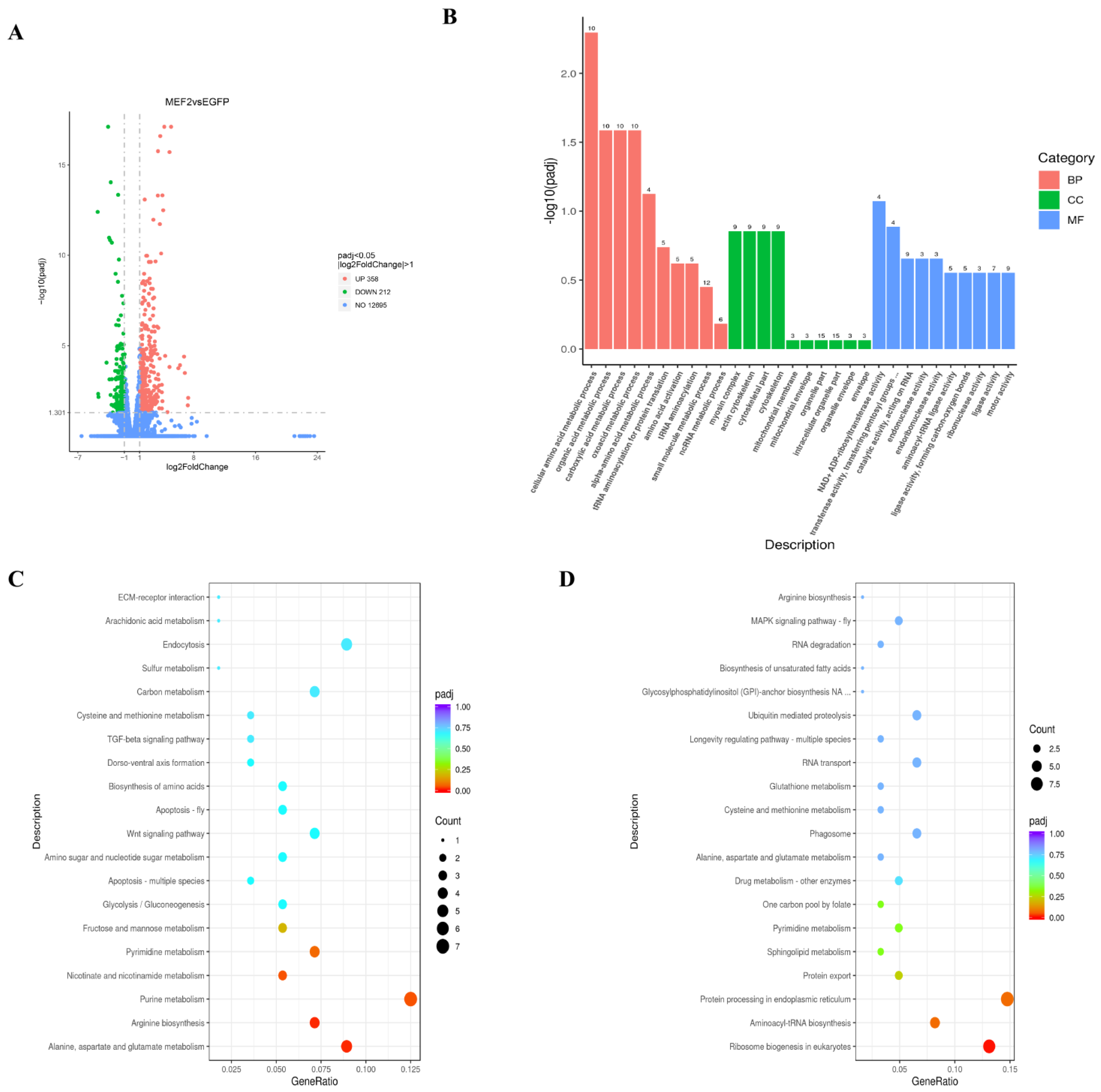 Ijms 24 05832 g008 Ijms 24 05832 g008