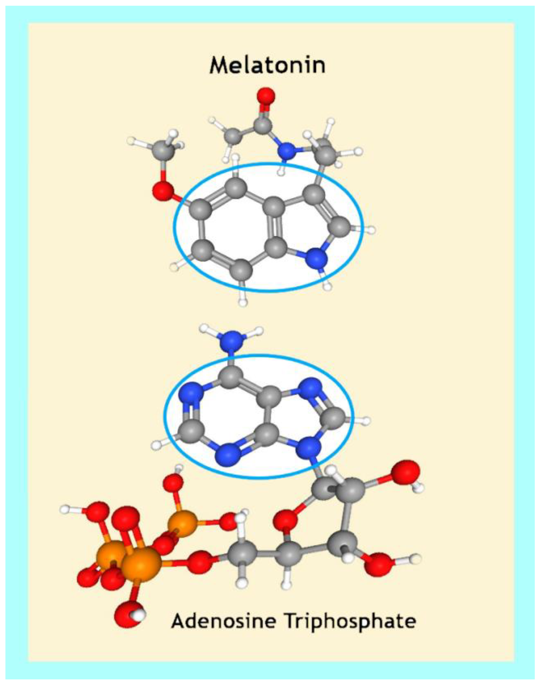Ijms 24 05835 g002 Ijms 24 05835 g002