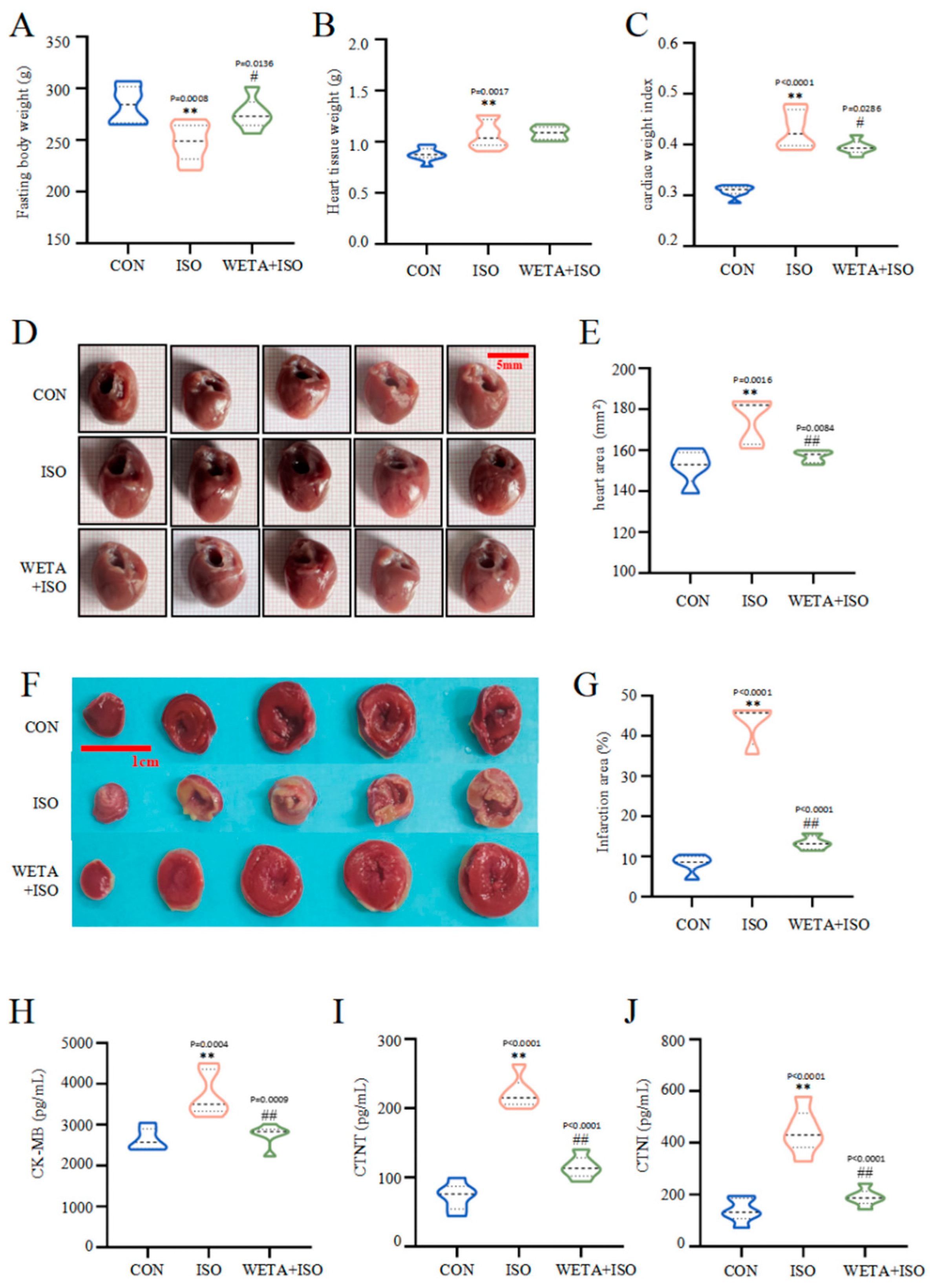 Ijms 24 05838 g004 Ijms 24 05838 g004