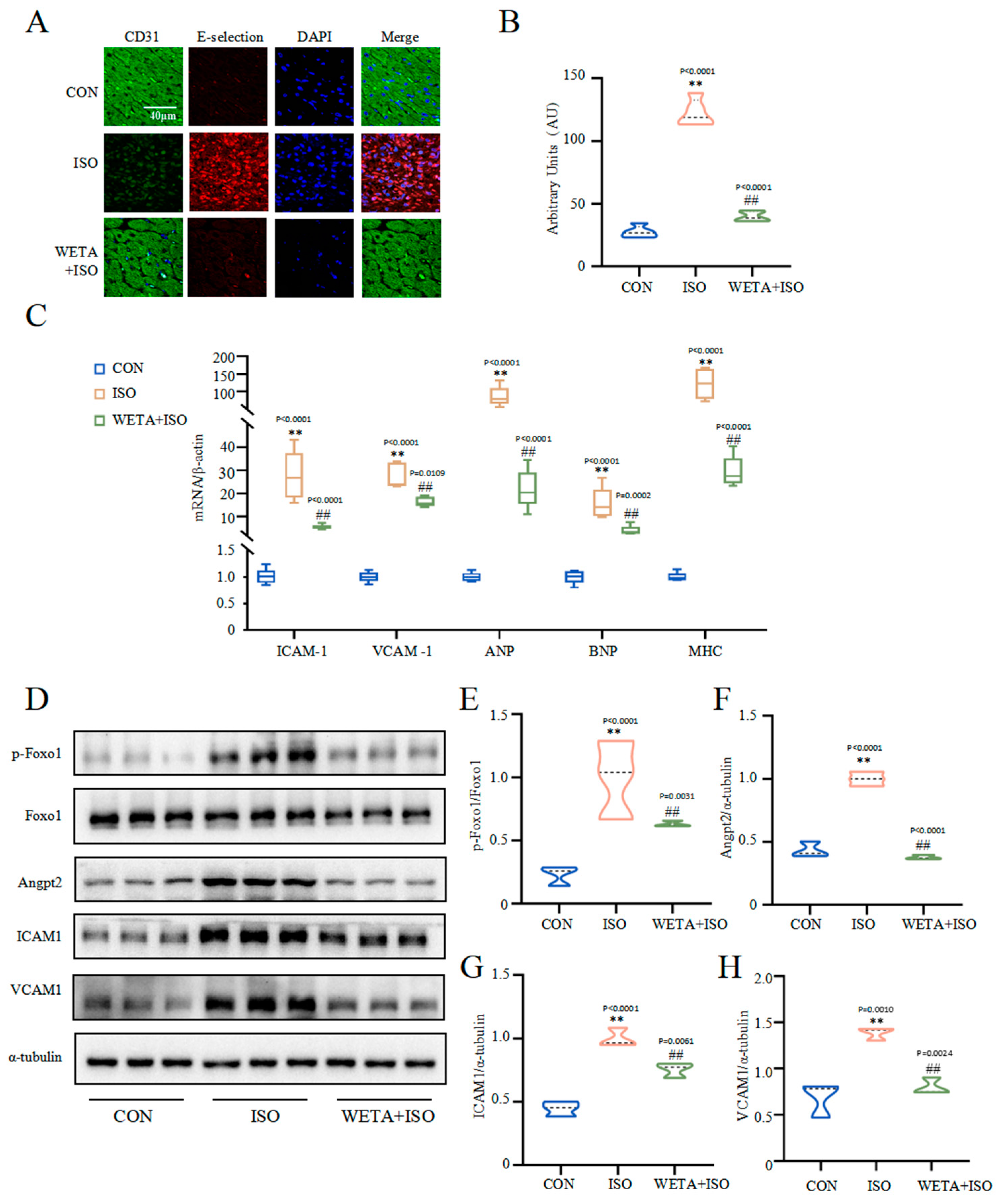 Ijms 24 05838 g007 Ijms 24 05838 g007