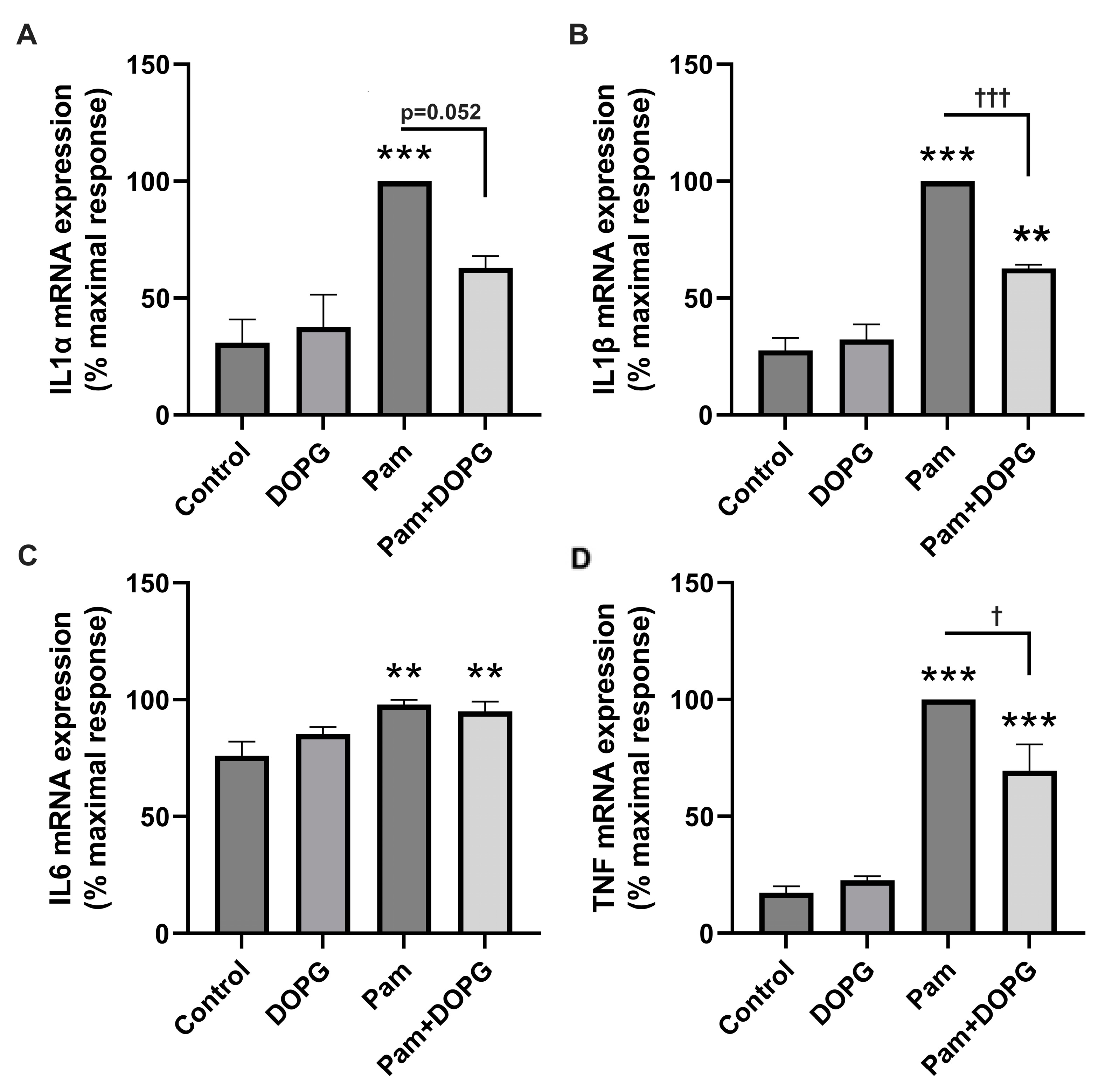 Ijms 24 05839 g003 Ijms 24 05839 g003