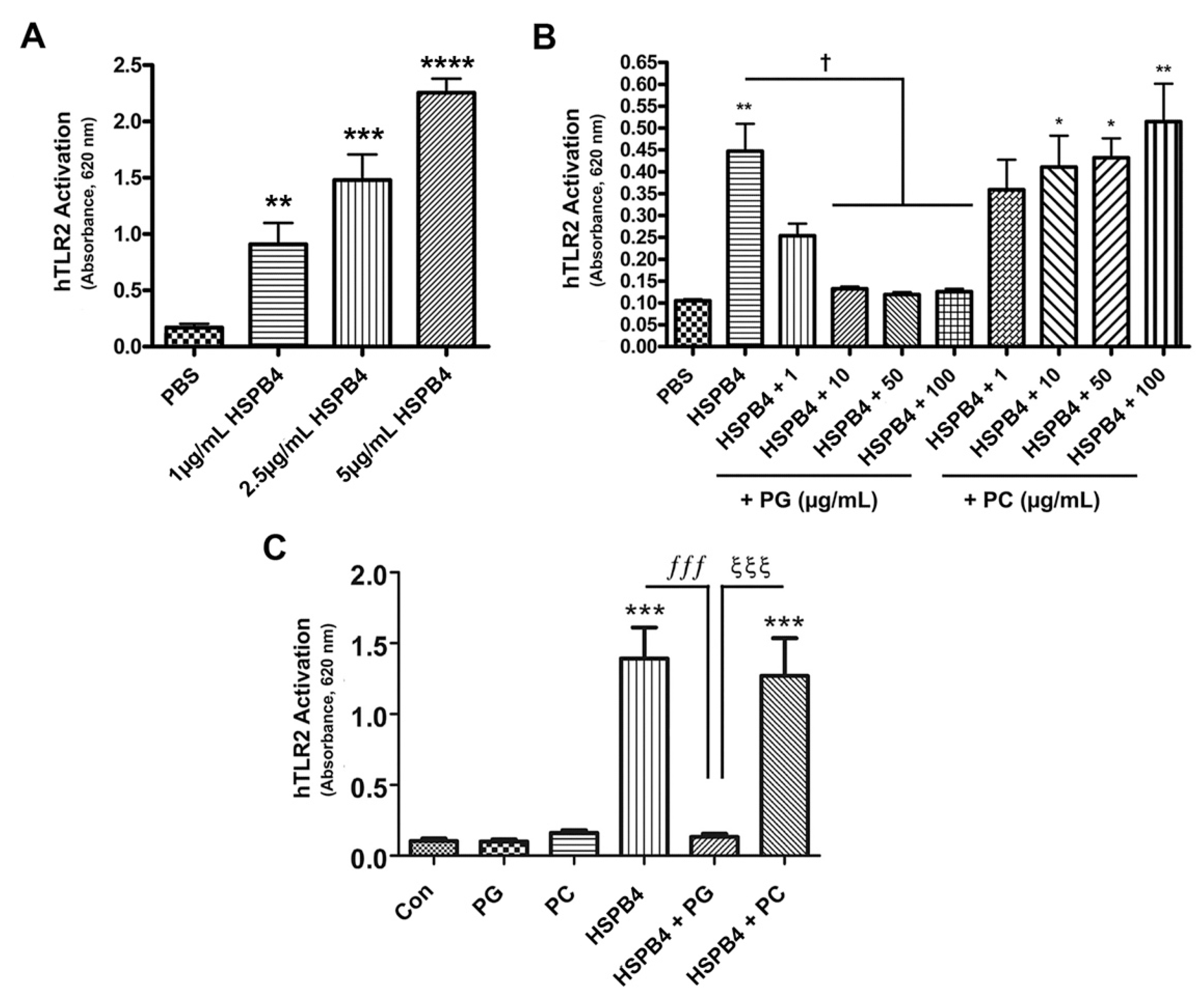 Ijms 24 05839 g004 Ijms 24 05839 g004