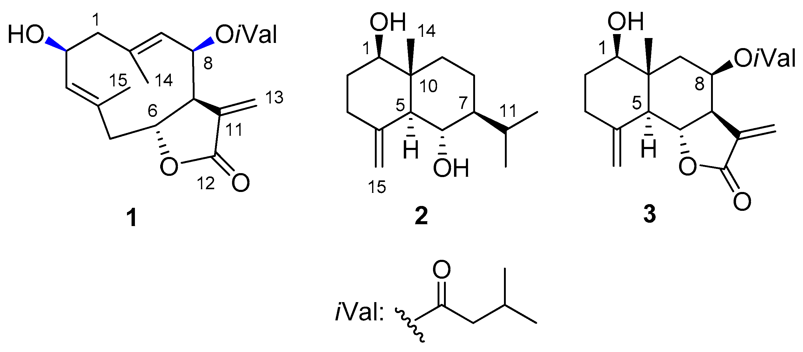 Ijms 24 05841 g001 Ijms 24 05841 g001