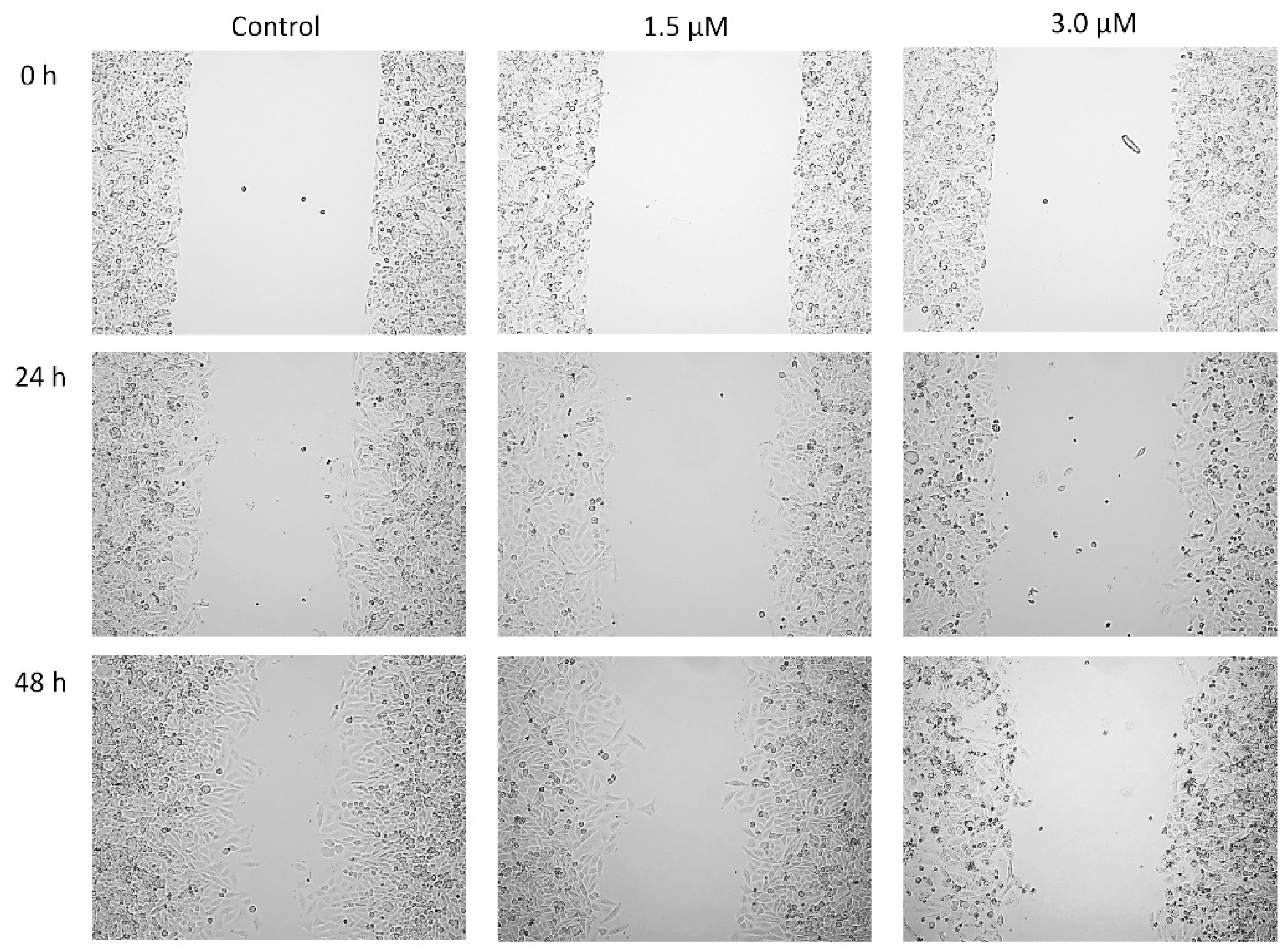 Ijms 24 05841 g006b Ijms 24 05841 g006b