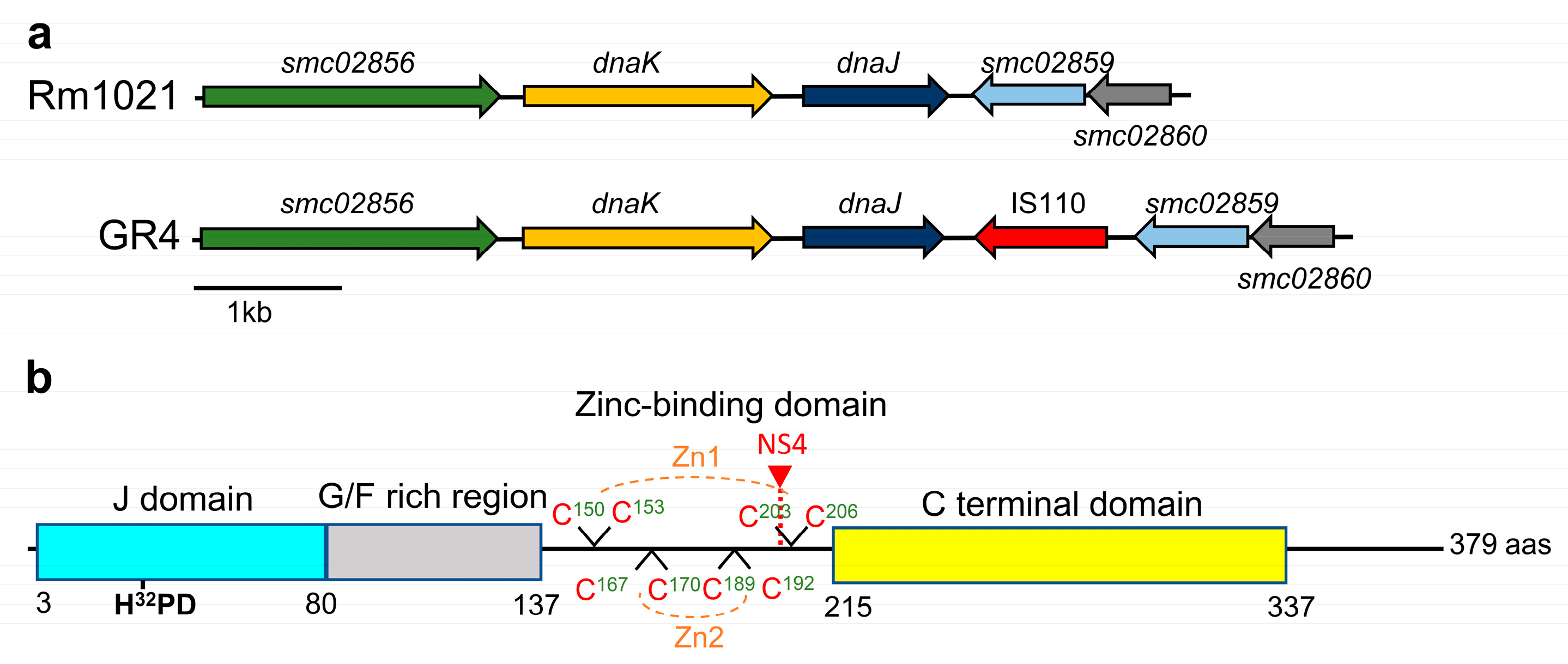 Ijms 24 05848 g001 Ijms 24 05848 g001