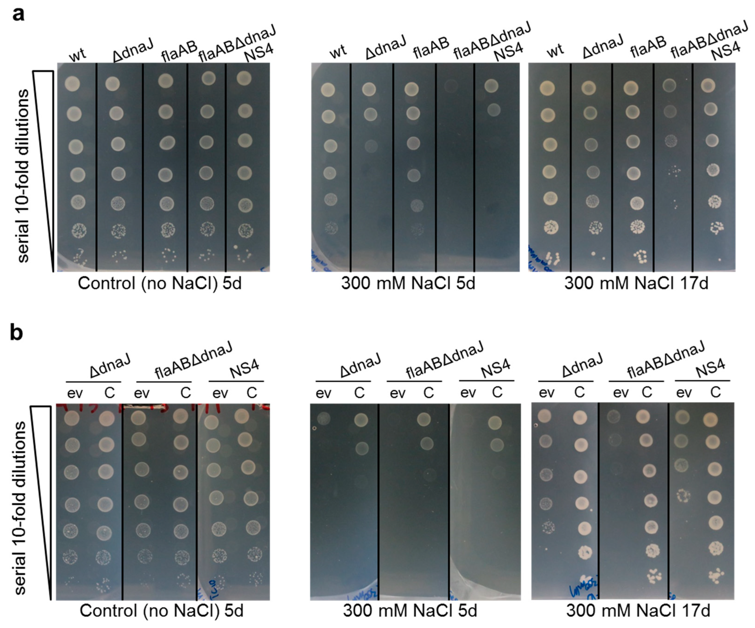 Ijms 24 05848 g005 Ijms 24 05848 g005