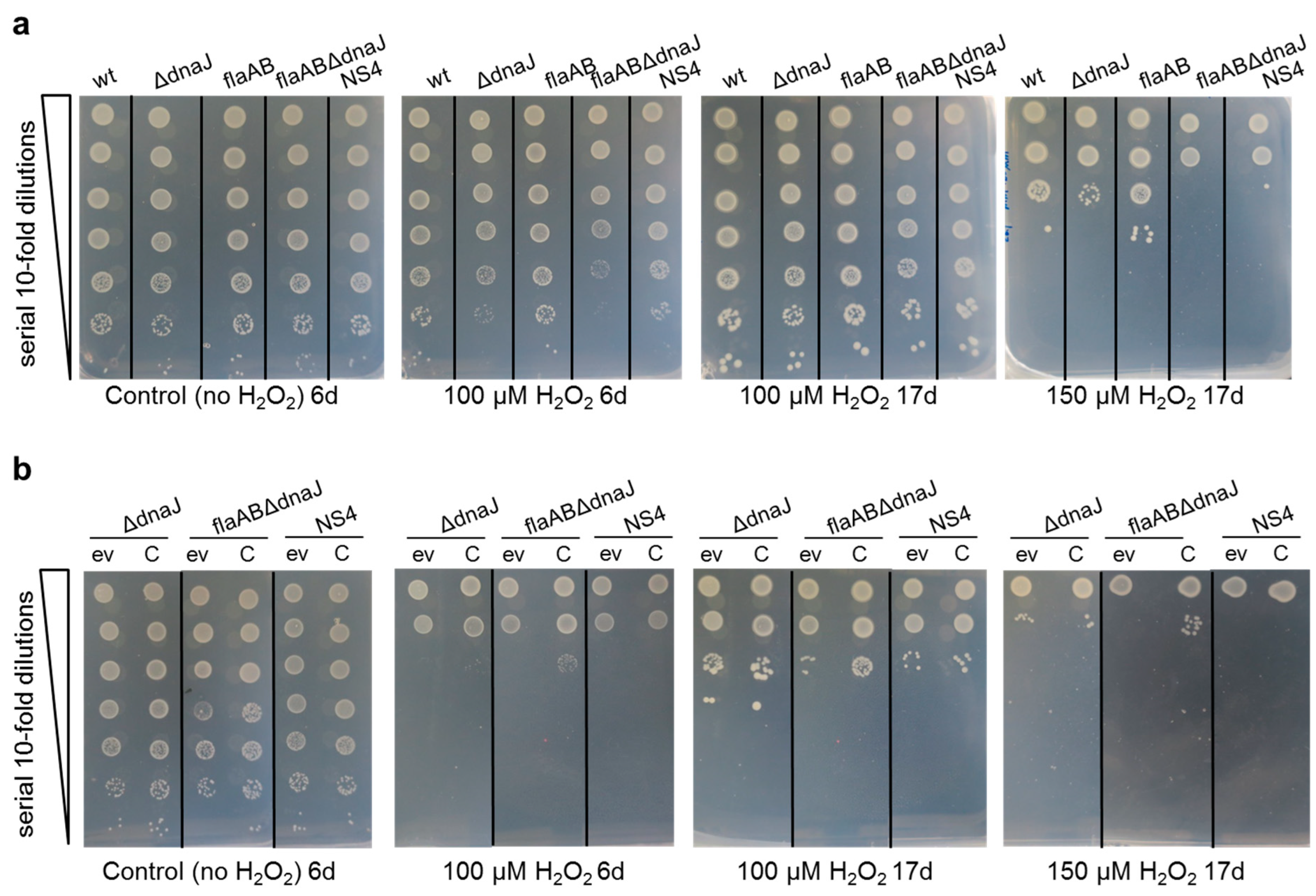 Ijms 24 05848 g006 Ijms 24 05848 g006