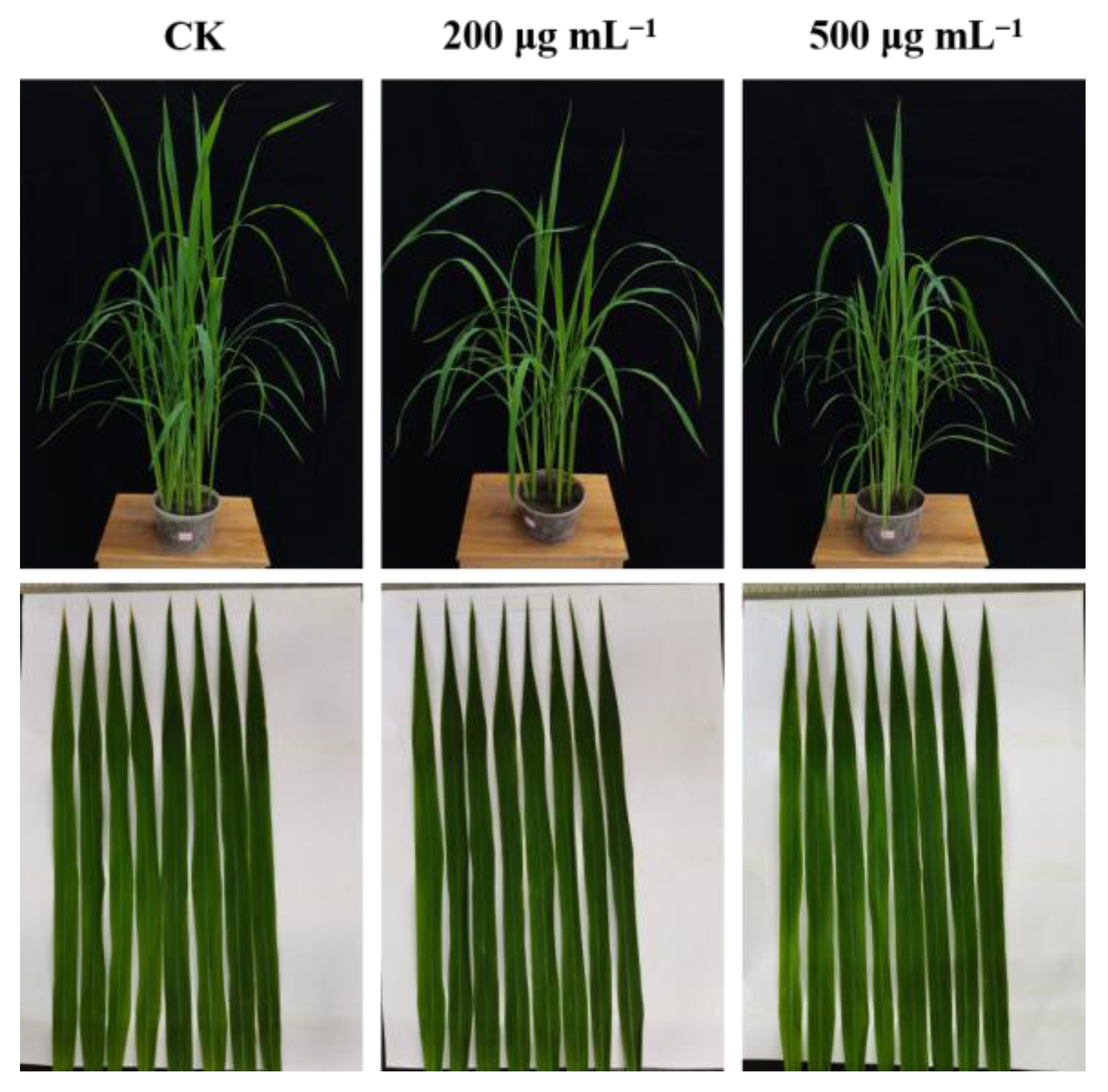 Ijms 24 05861 g009 Ijms 24 05861 g009