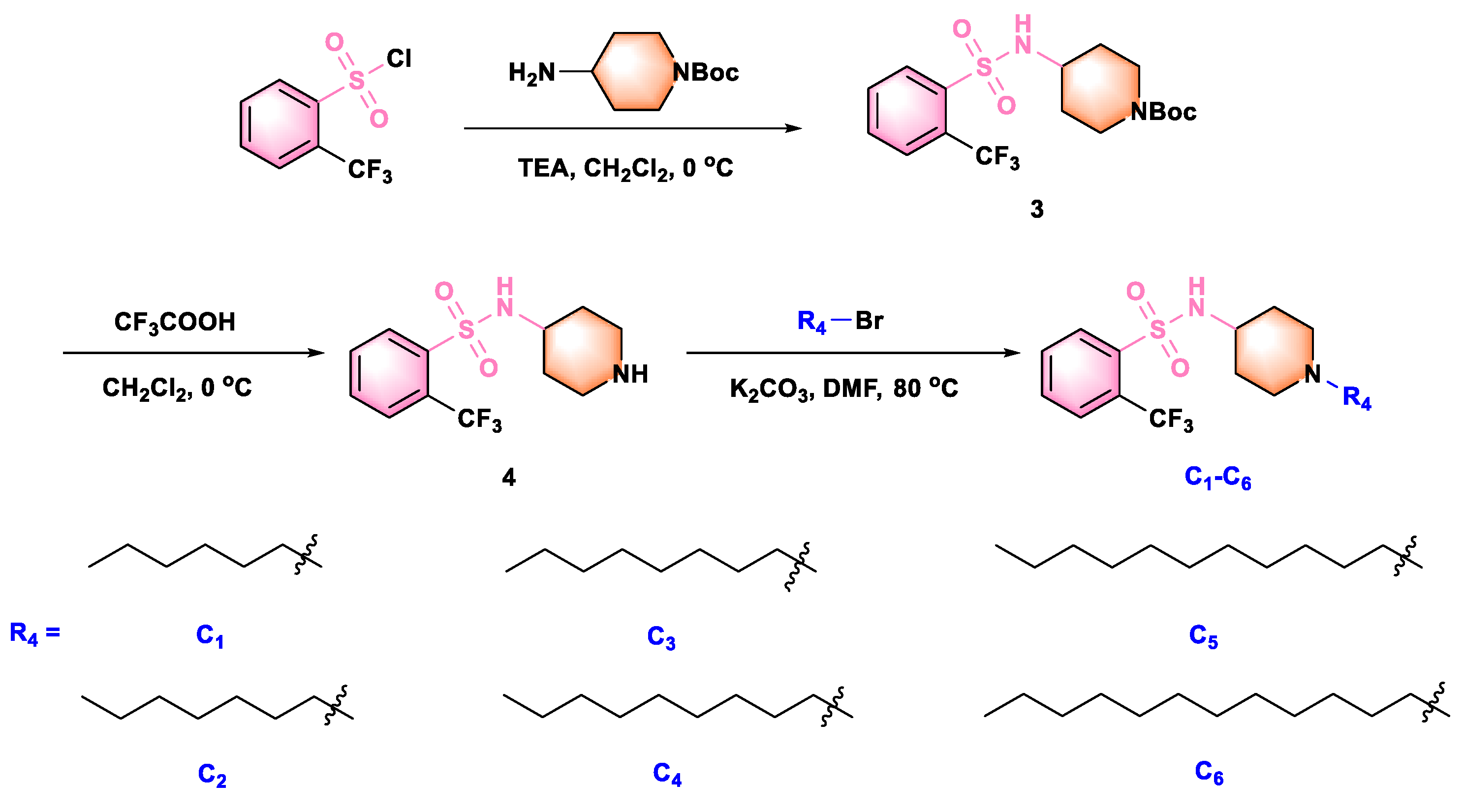 Ijms 24 05861 sch003 Ijms 24 05861 sch003