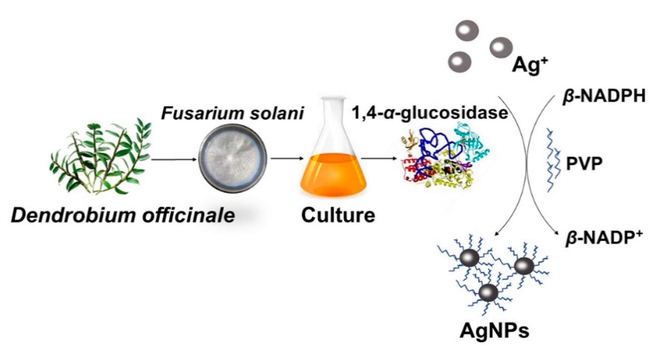 Ijms 24 05865 sch001