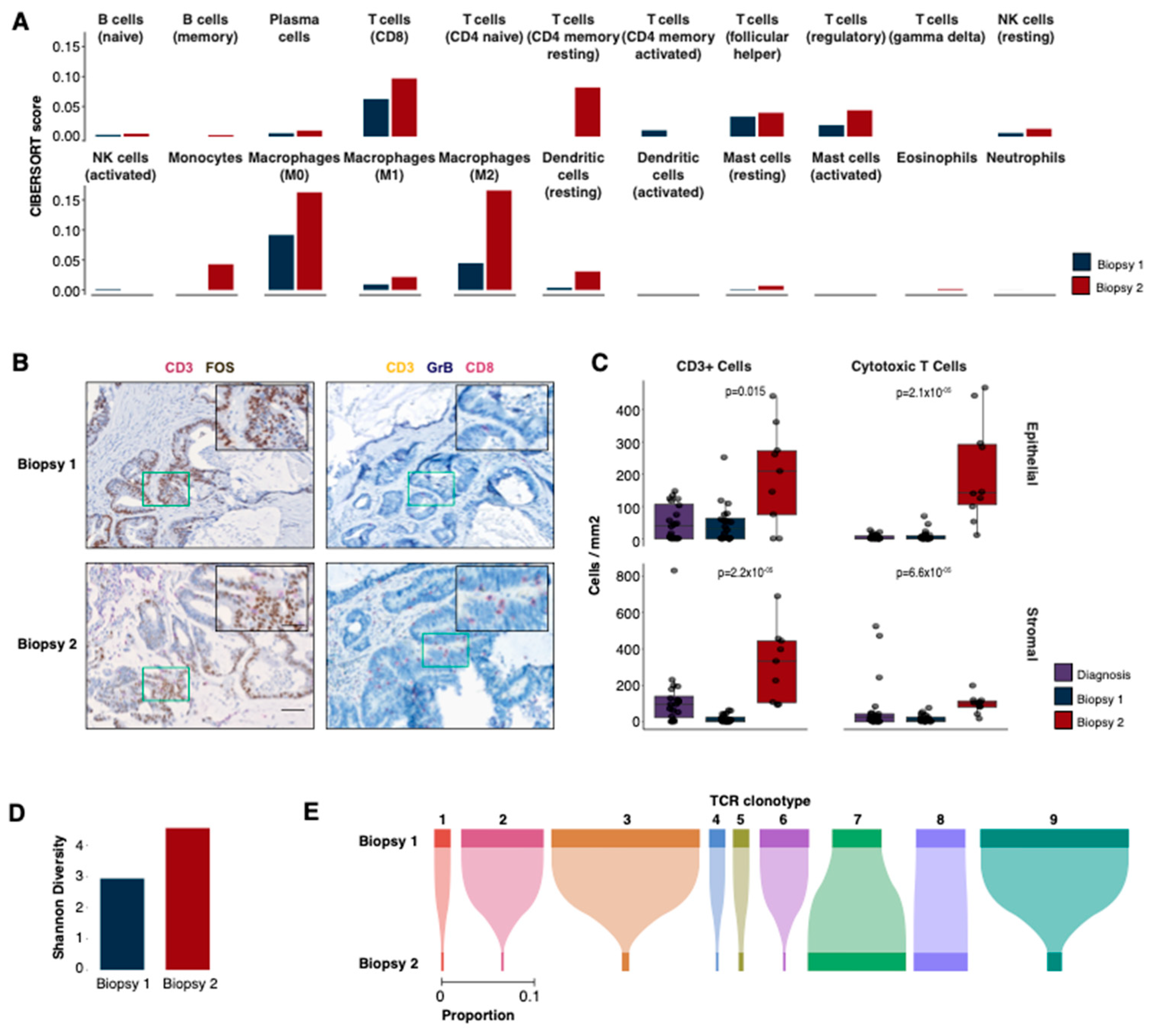 Ijms 24 05869 g004 Ijms 24 05869 g004
