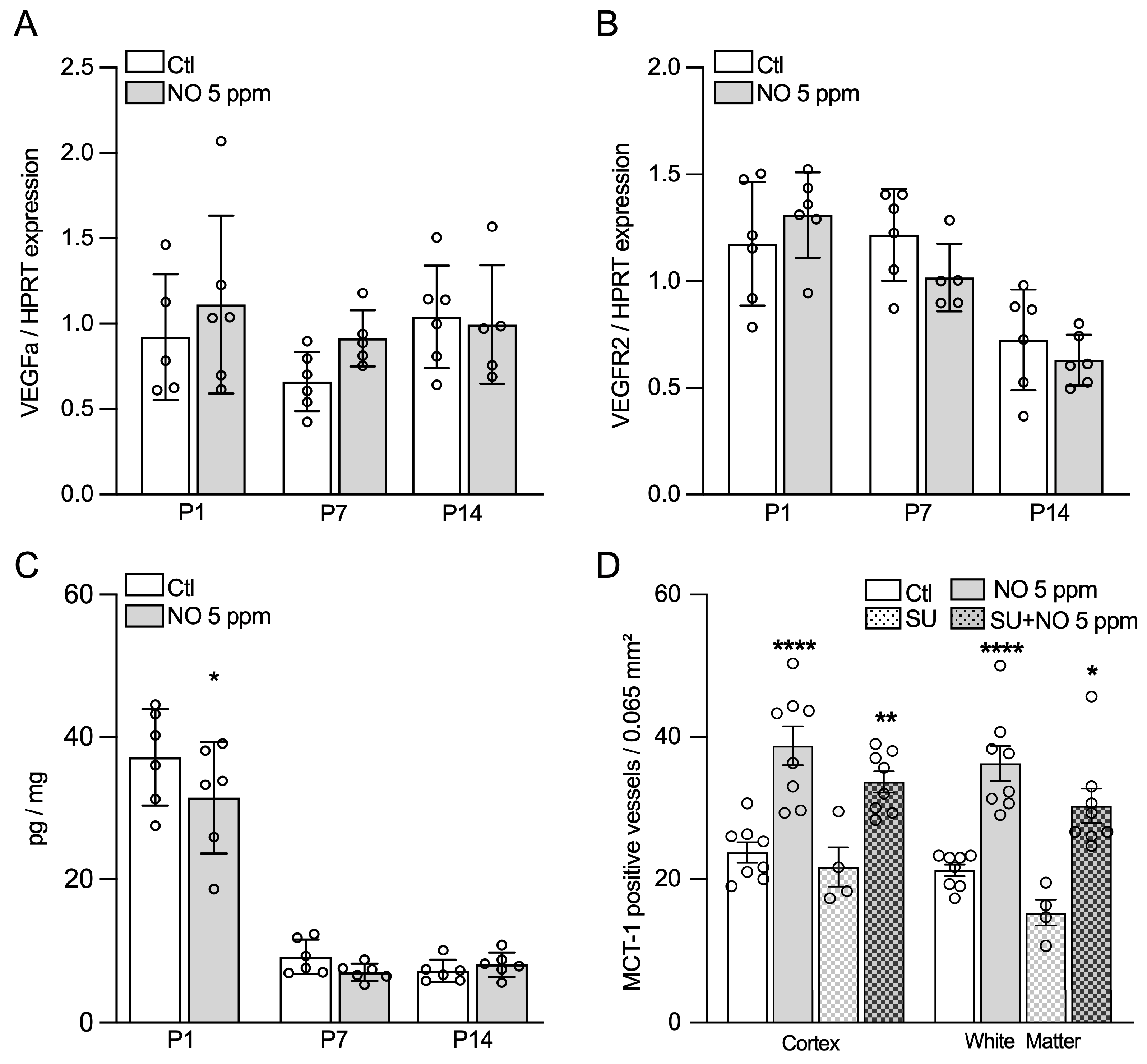 Ijms 24 05871 g004 Ijms 24 05871 g004