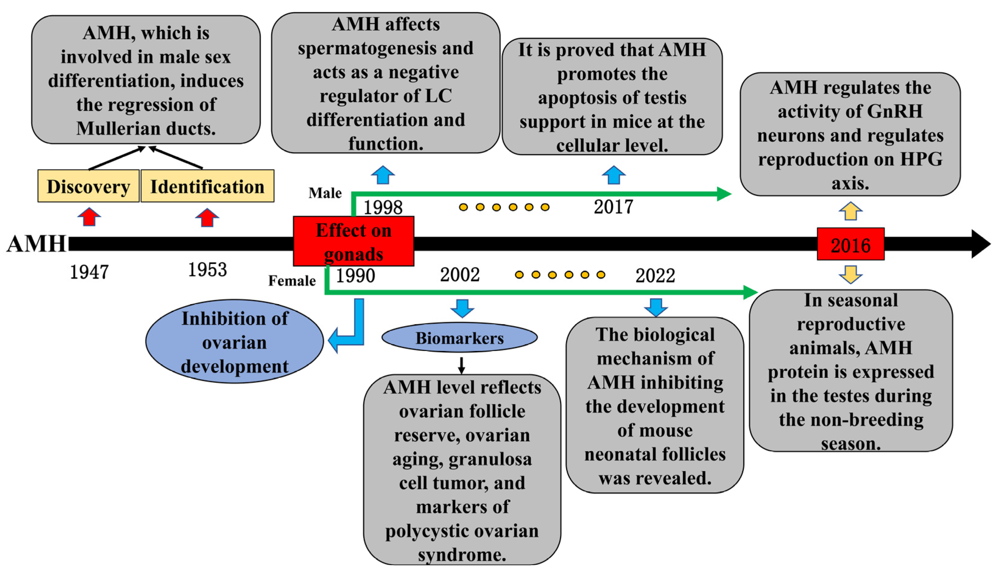 Ijms 24 05874 g003 Ijms 24 05874 g003