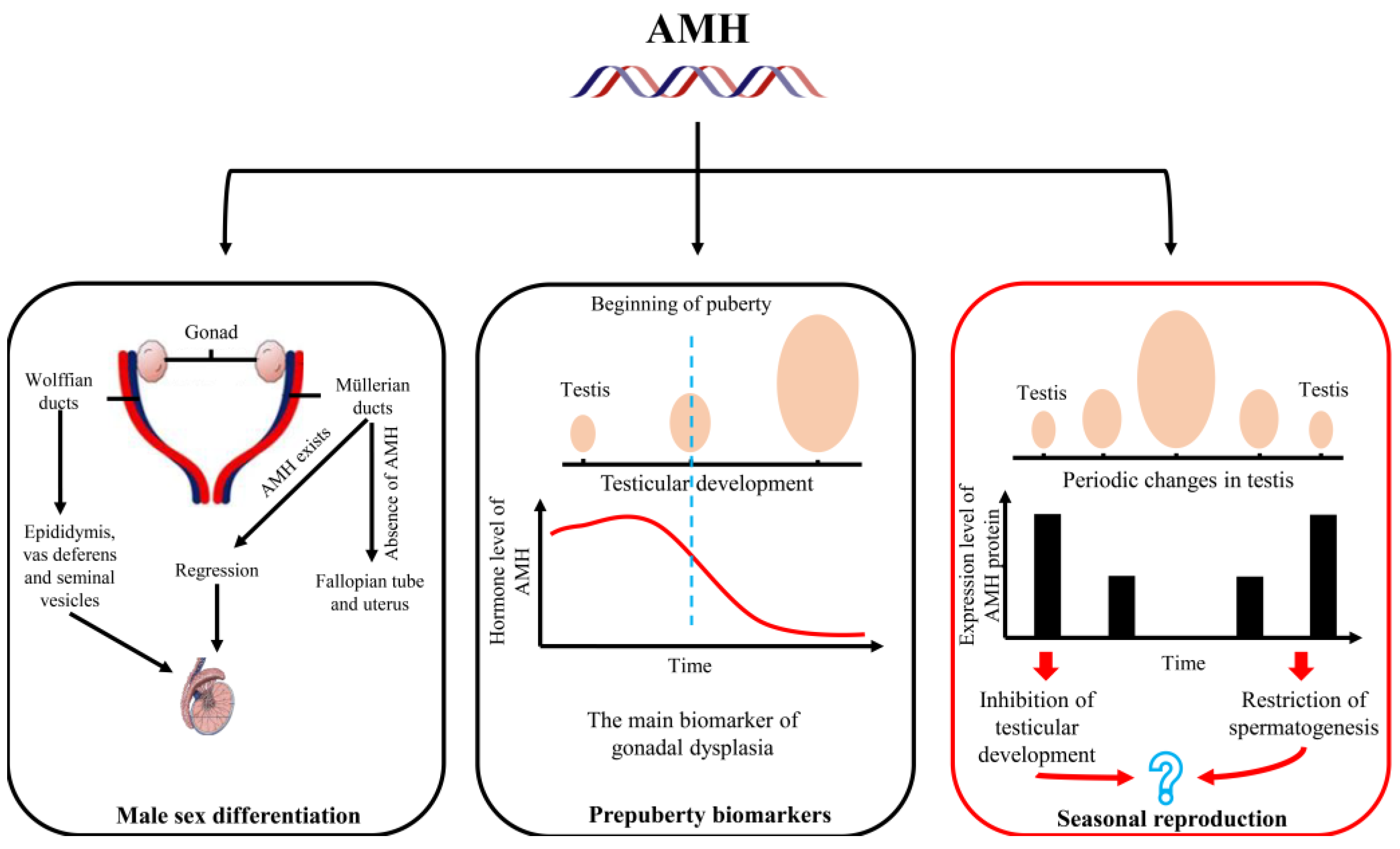 Ijms 24 05874 g005 Ijms 24 05874 g005