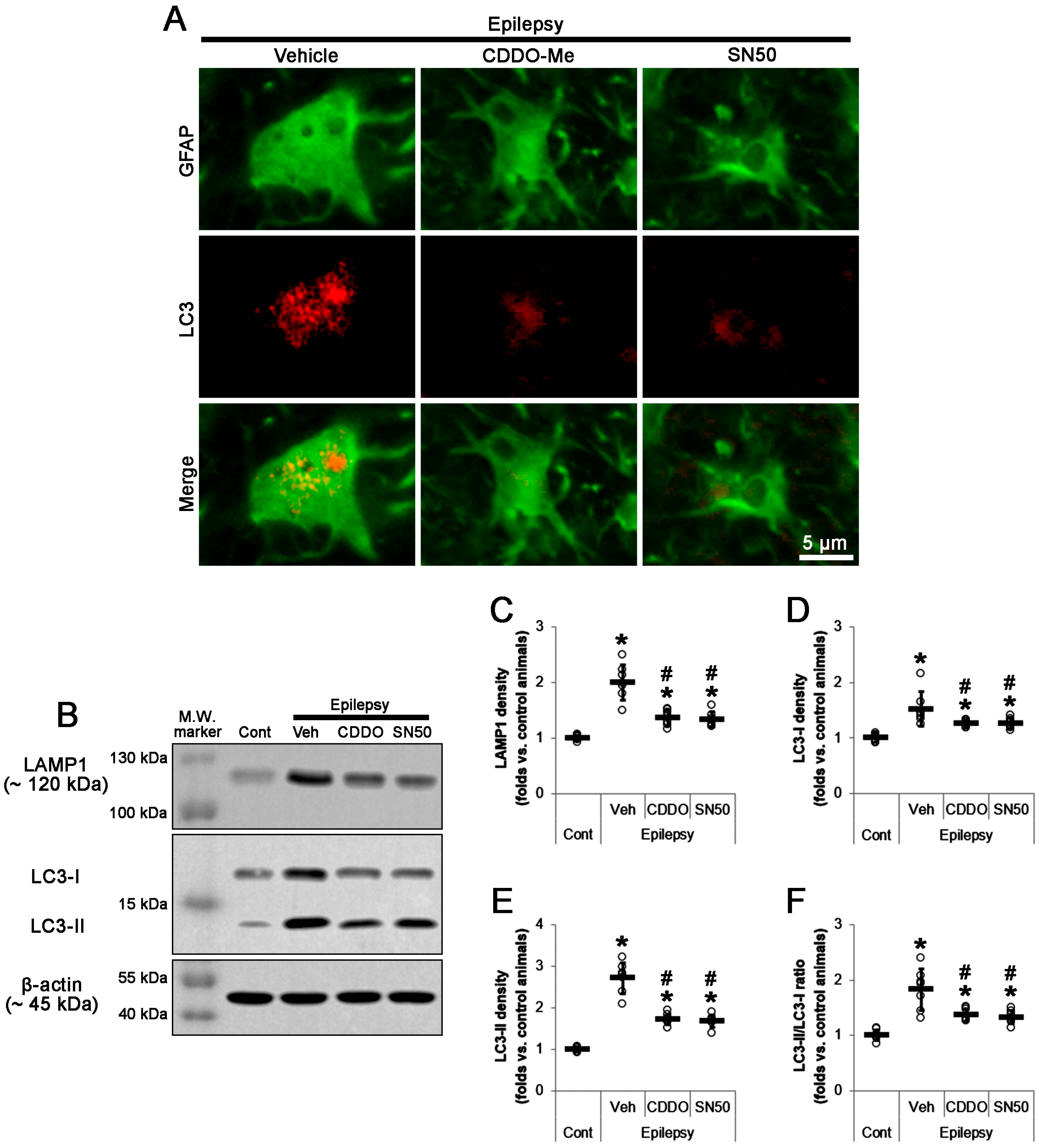 Ijms 24 05875 g002 Ijms 24 05875 g002