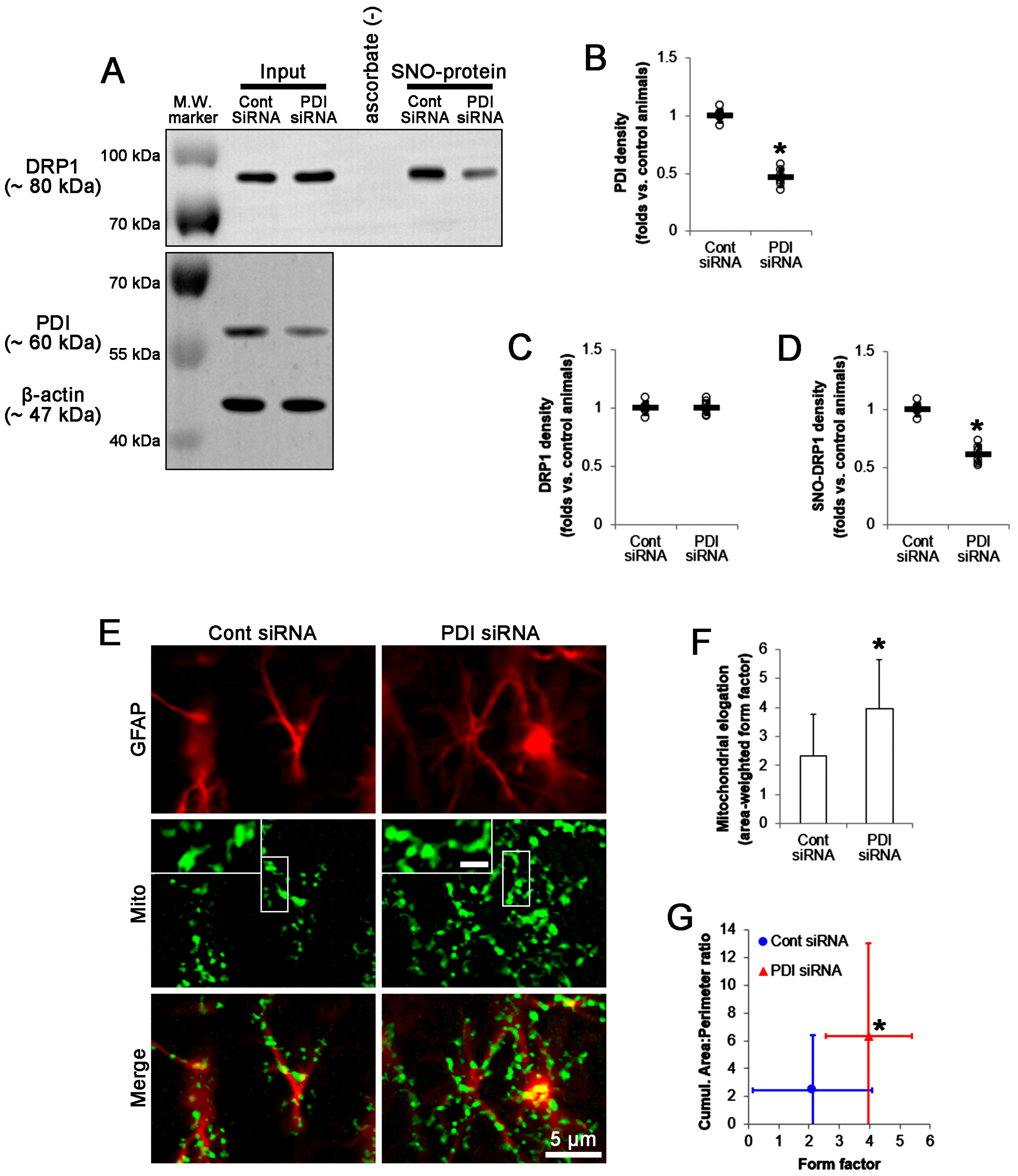 Ijms 24 05875 g008 Ijms 24 05875 g008