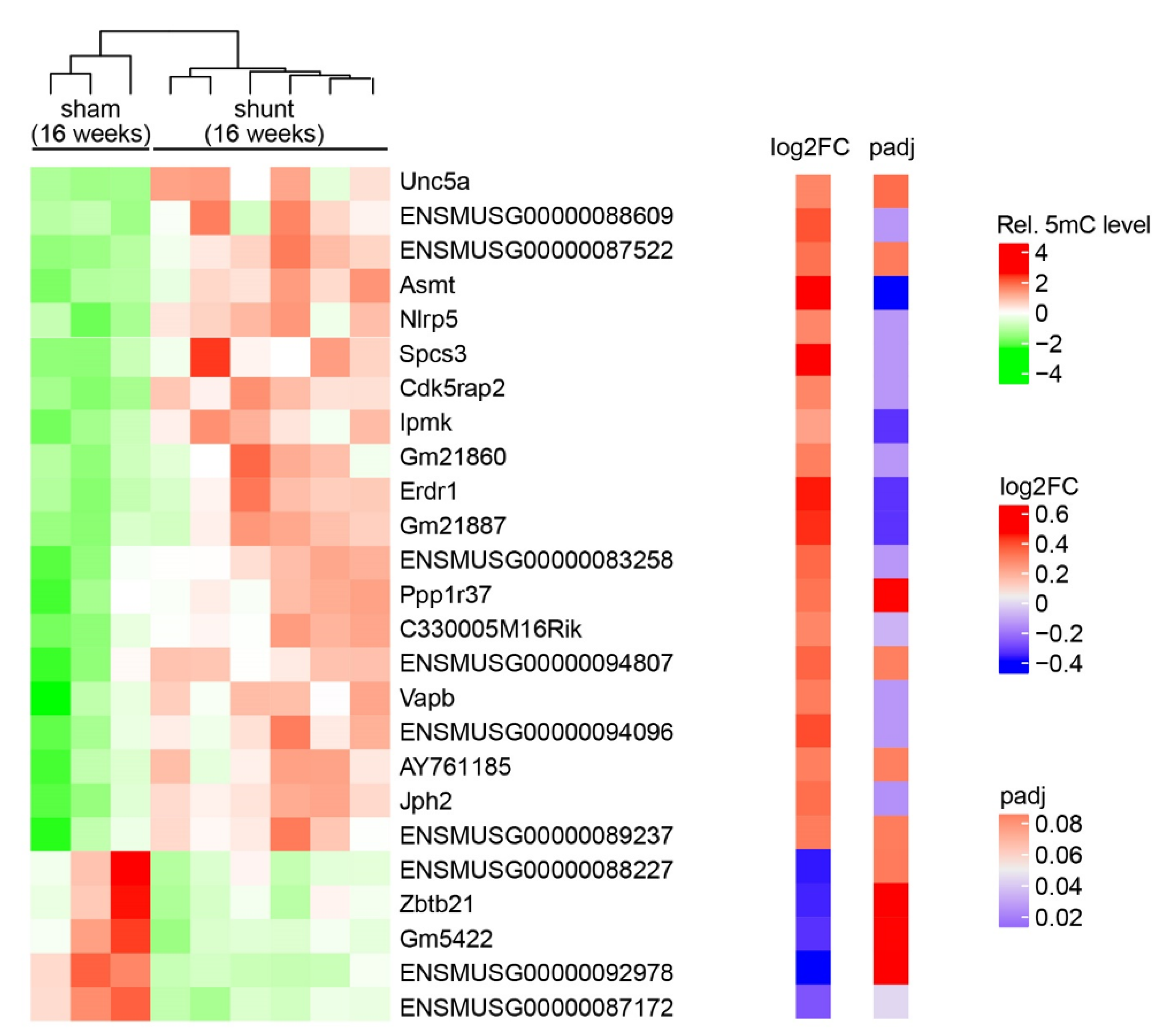 Ijms 24 05885 g002 Ijms 24 05885 g002