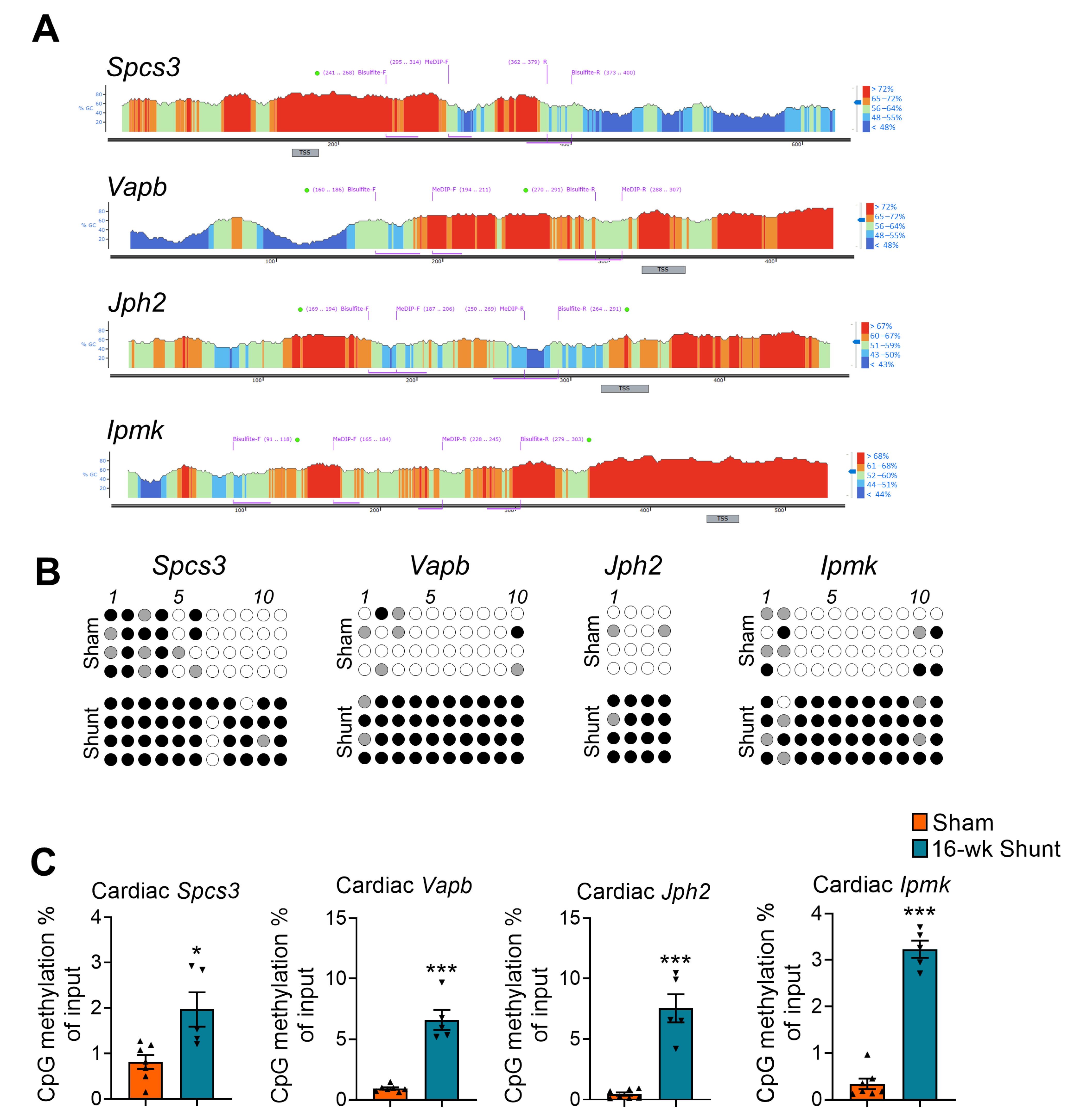 Ijms 24 05885 g003 Ijms 24 05885 g003
