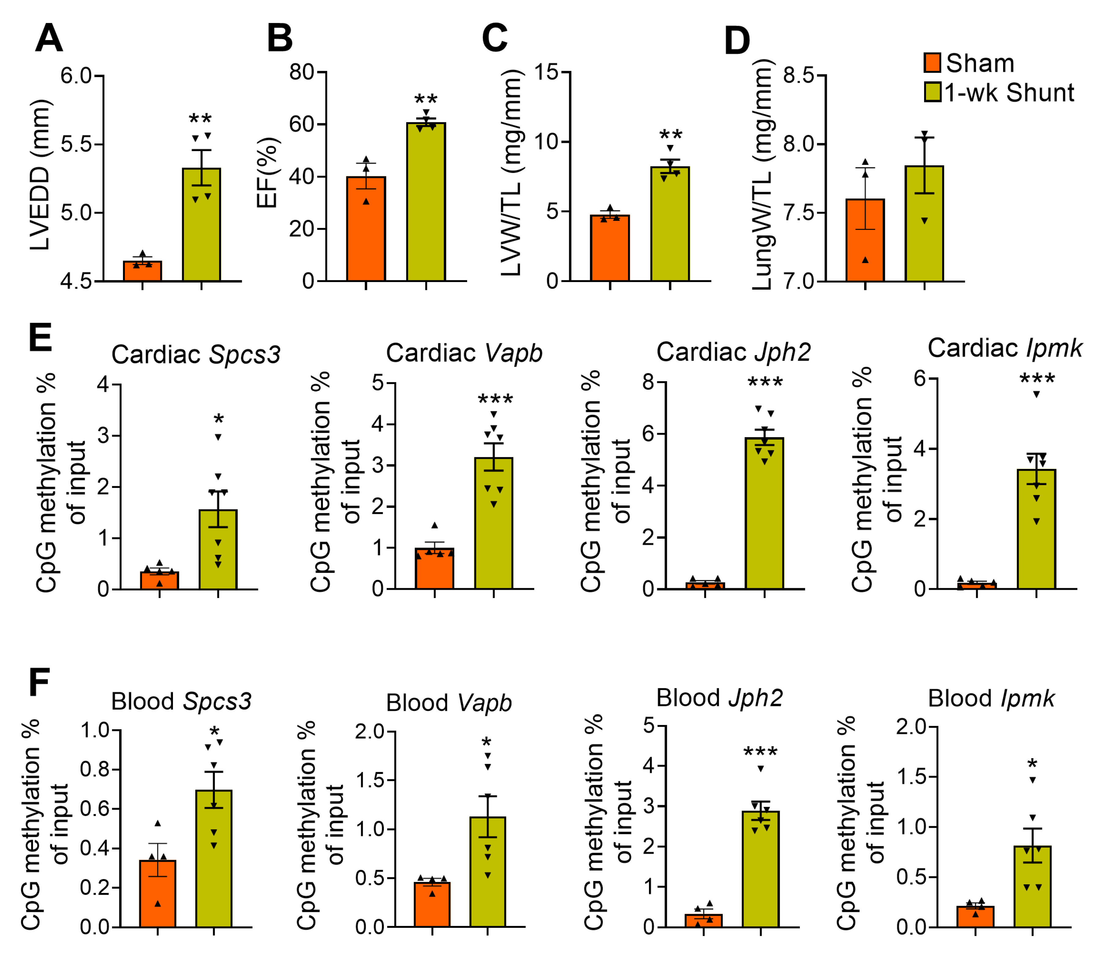 Ijms 24 05885 g006 Ijms 24 05885 g006