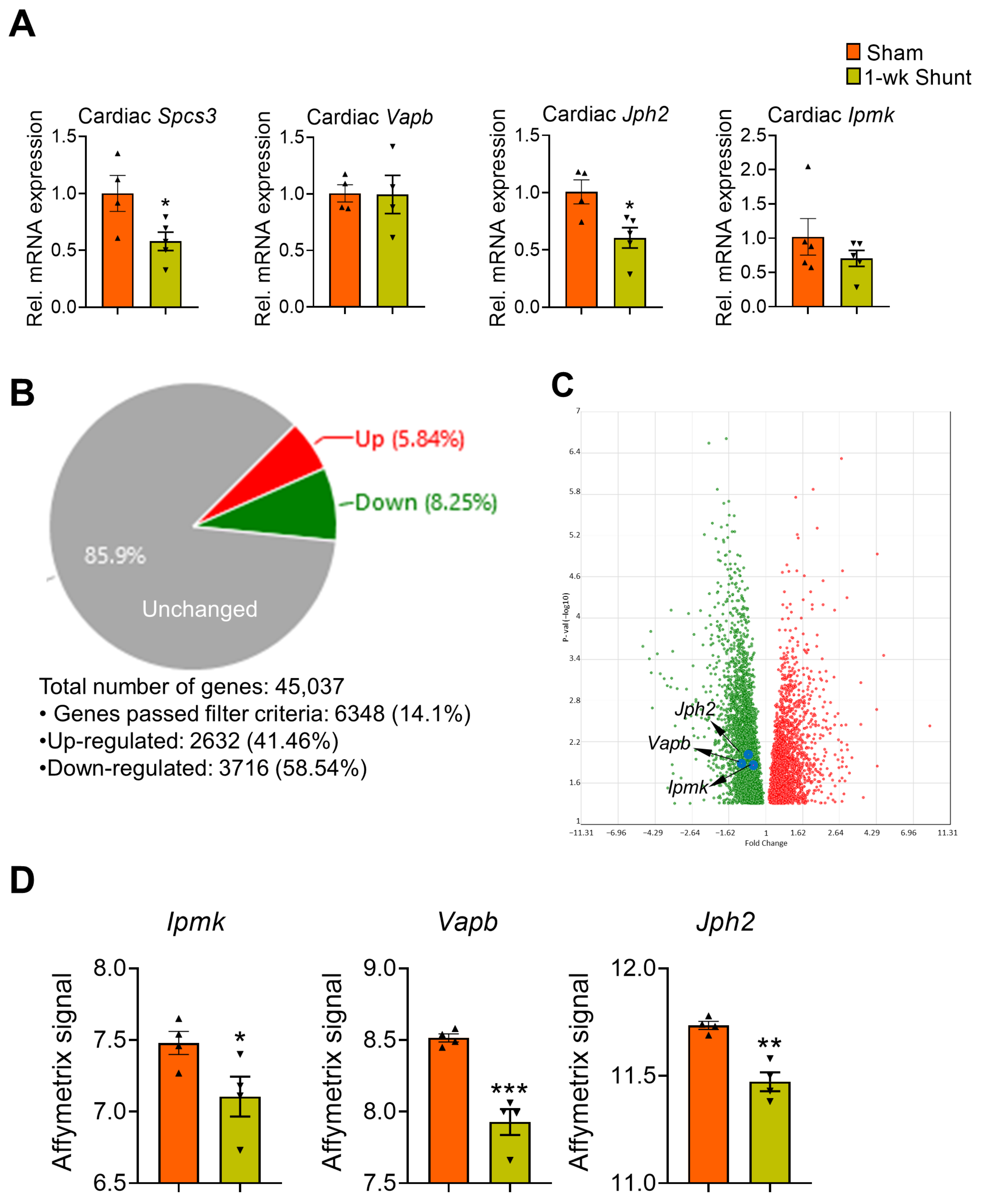 Ijms 24 05885 g007 Ijms 24 05885 g007