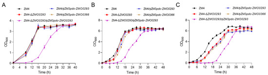 Characterization and Application of the Sugar Transporter Zmo0293
