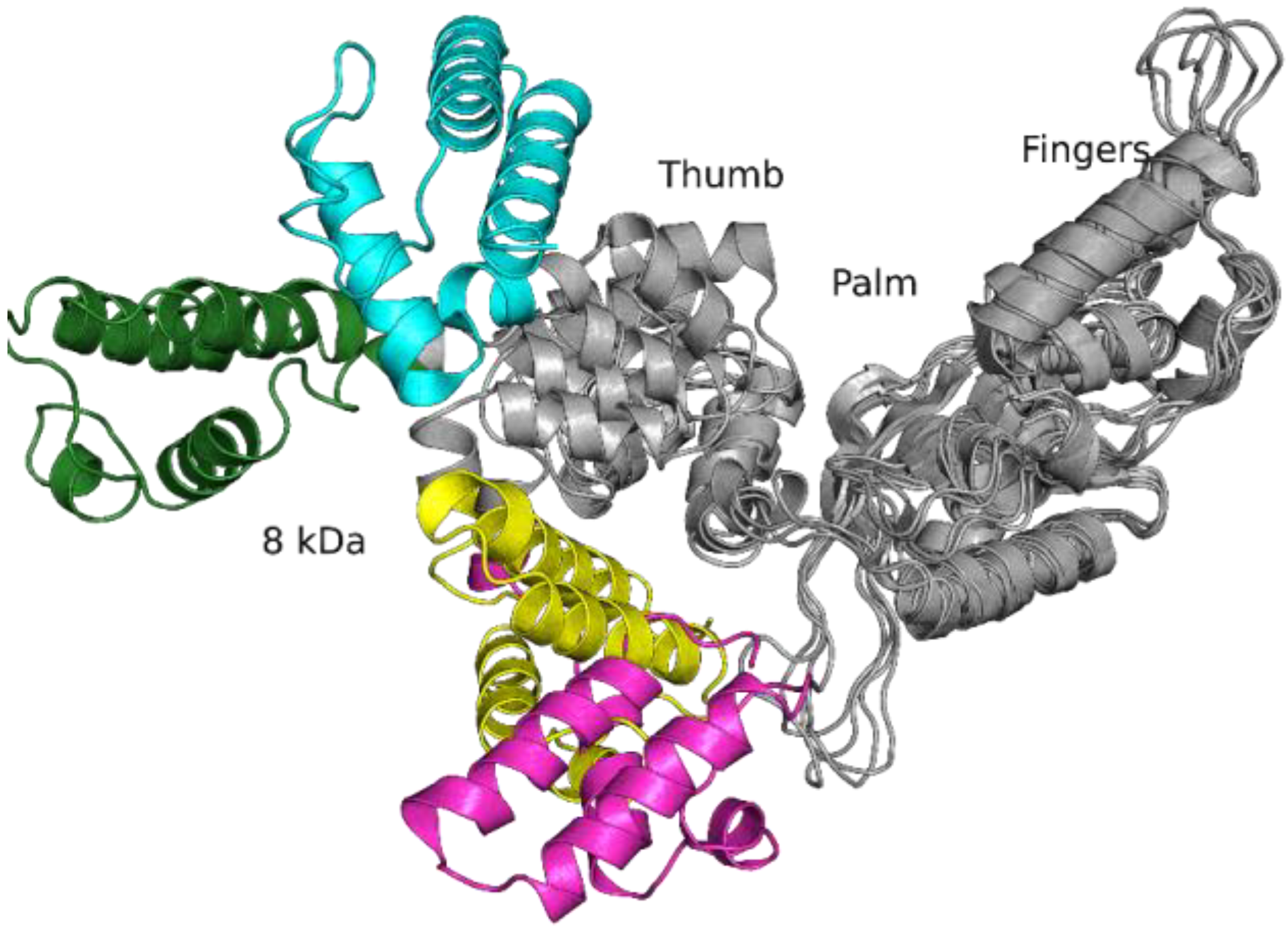 Ijms 24 05892 g003 Ijms 24 05892 g003