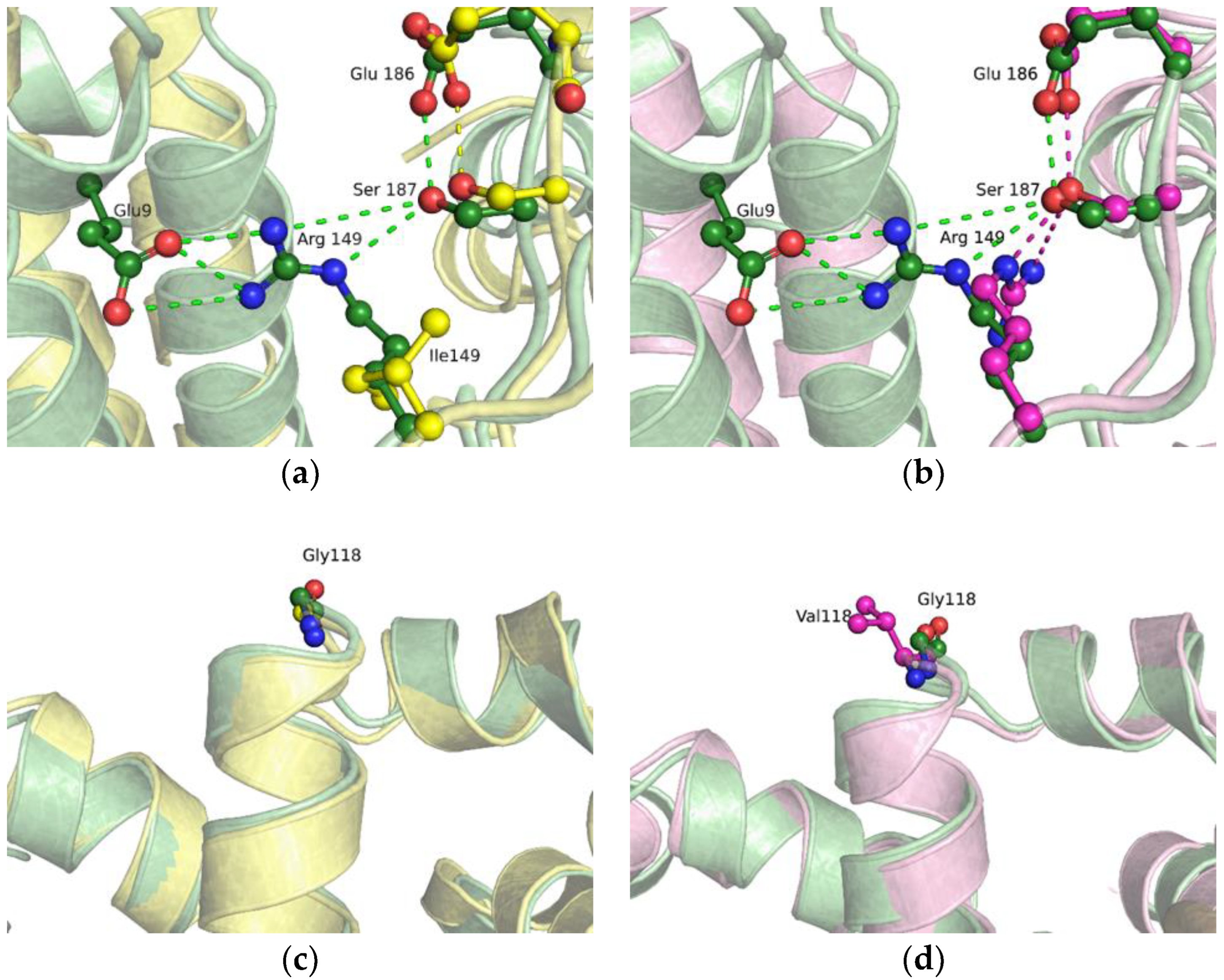 Ijms 24 05892 g006 Ijms 24 05892 g006