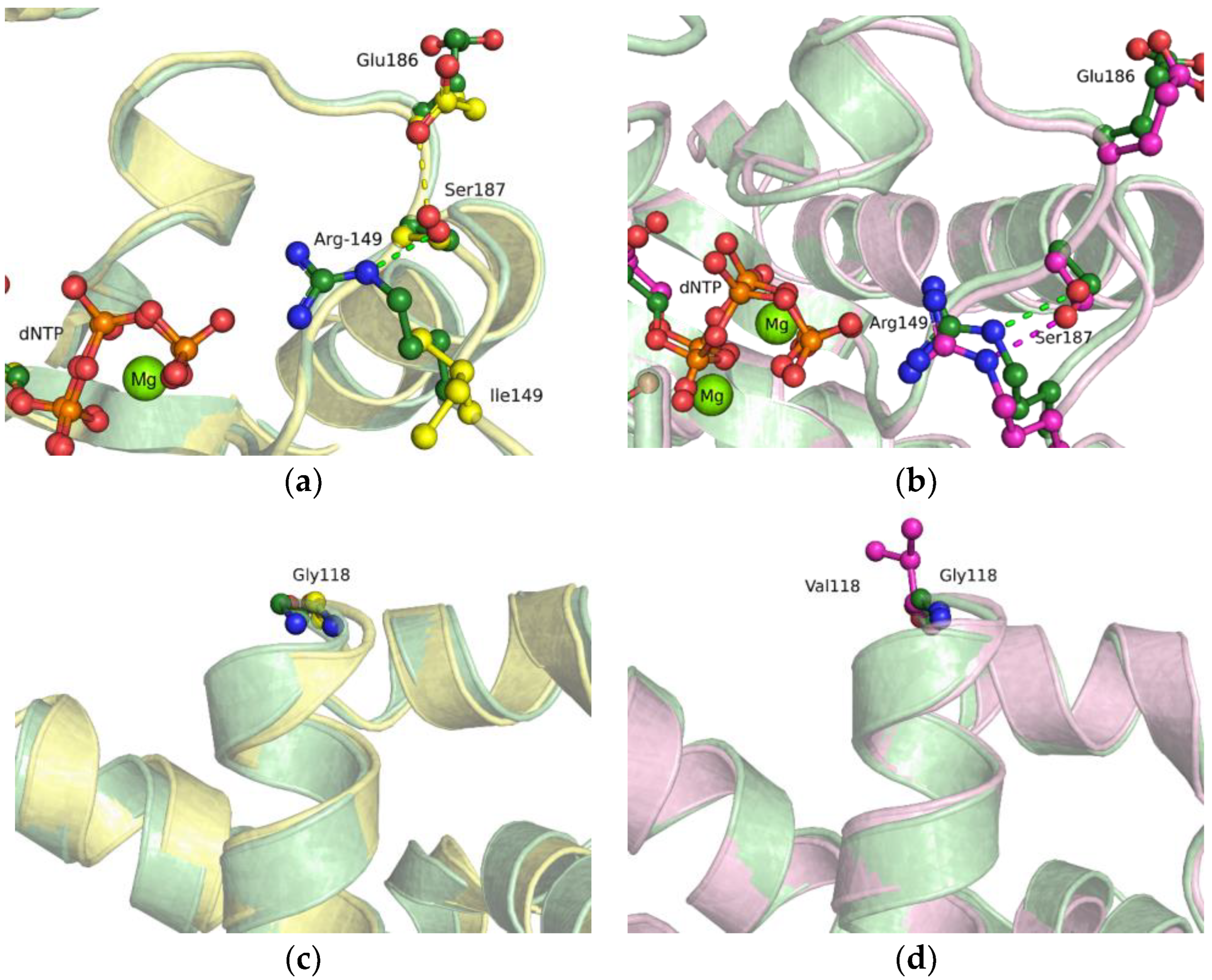 Ijms 24 05892 g007 Ijms 24 05892 g007