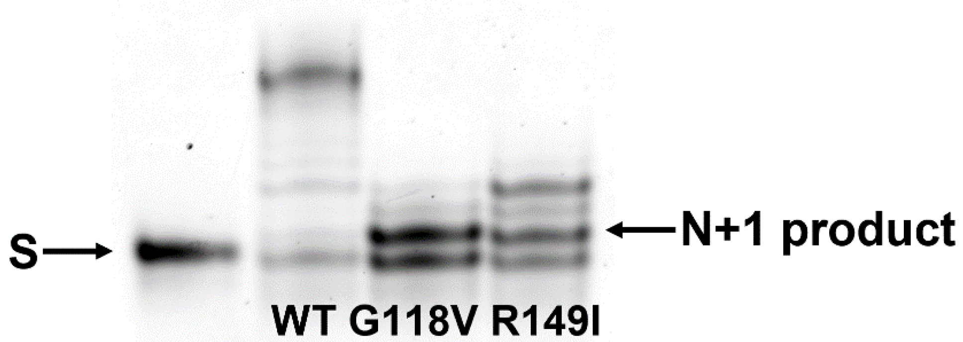 Ijms 24 05892 g008 Ijms 24 05892 g008