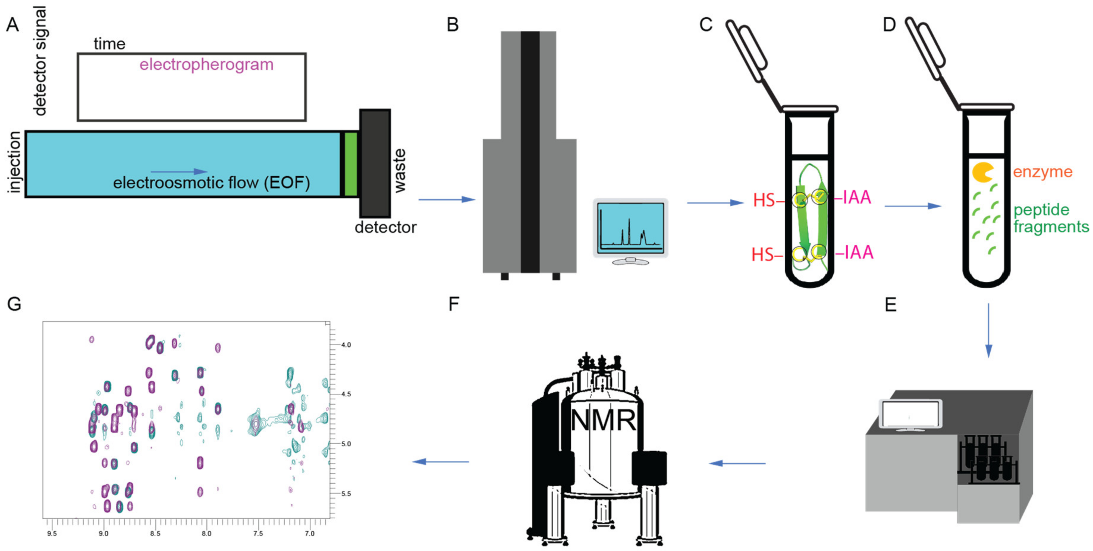 Ijms 24 05893 g005 Ijms 24 05893 g005