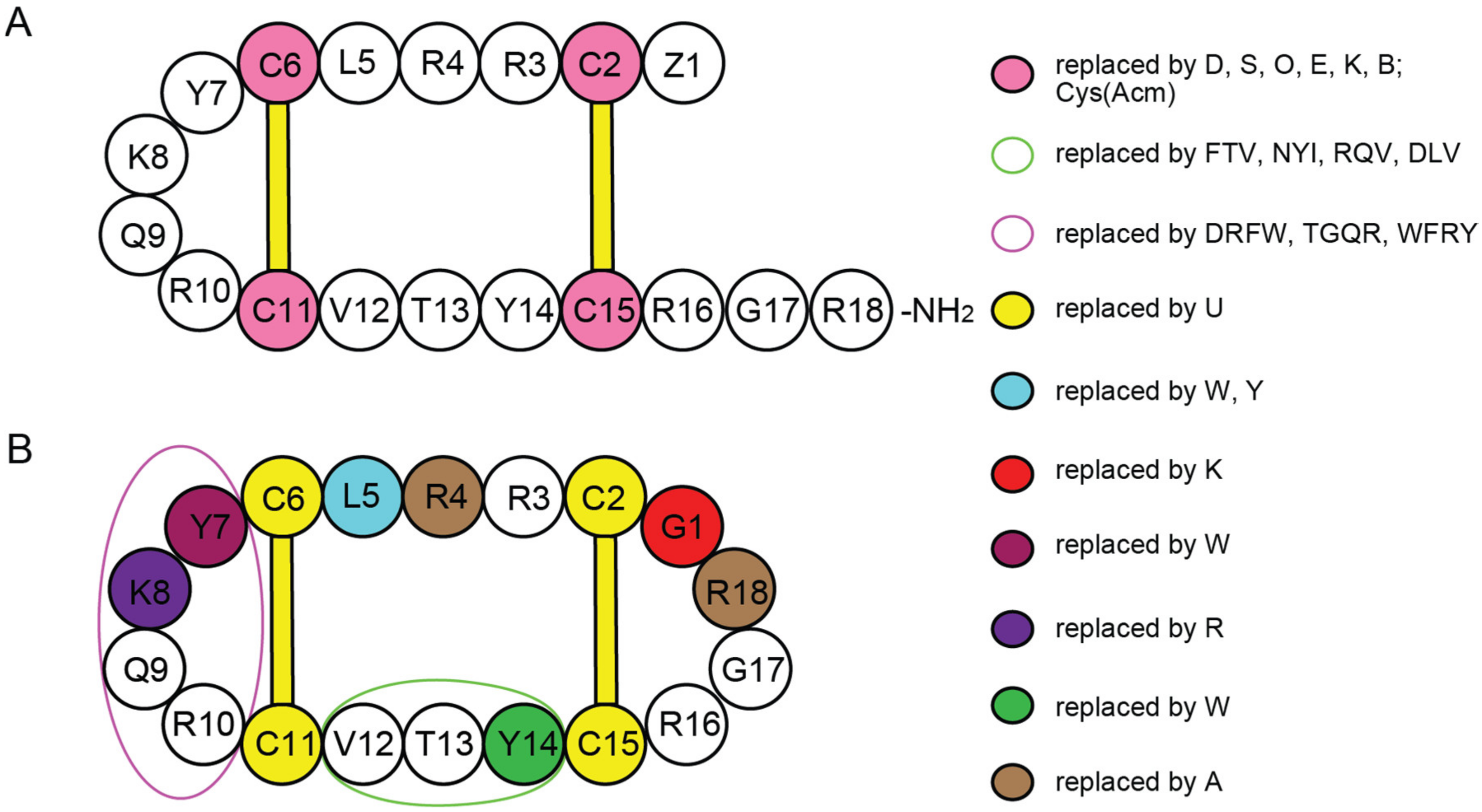 Ijms 24 05893 g007 Ijms 24 05893 g007