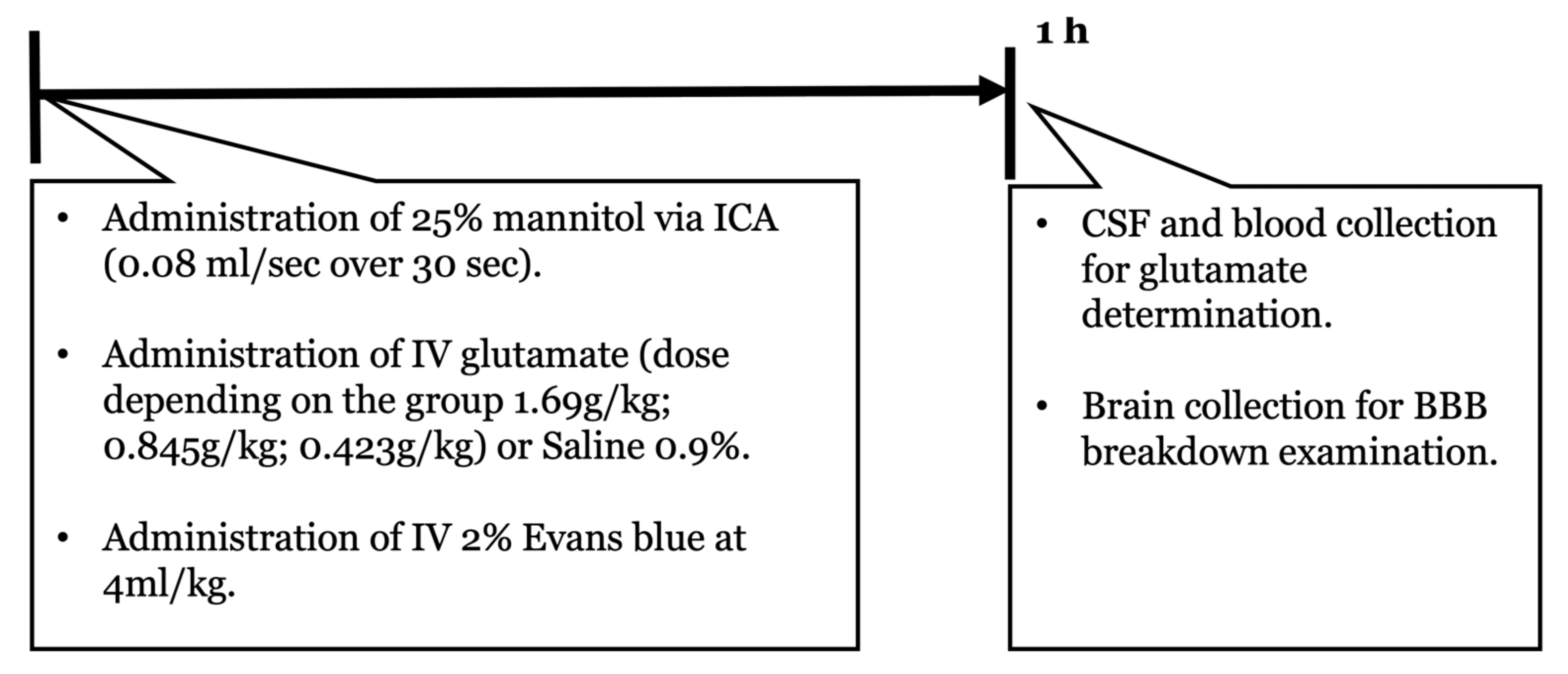 Ijms 24 05897 g004 Ijms 24 05897 g004